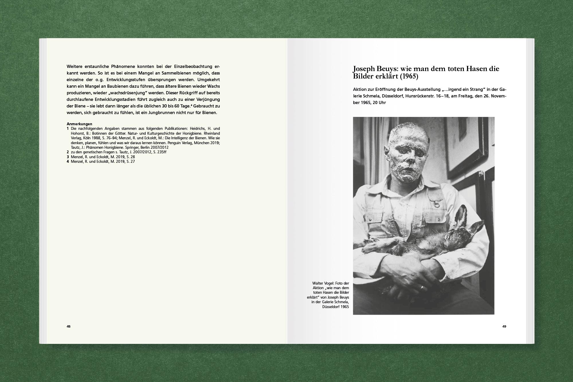 Beispielinhalt (Bild) Honig für Kunst & Gesellschaft