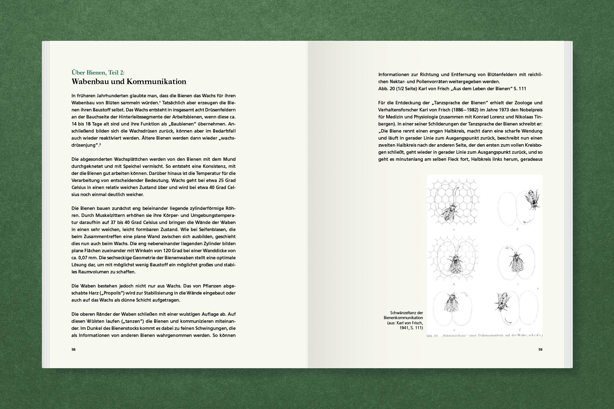 Beispielinhalt (Bild) Honig für Kunst & Gesellschaft