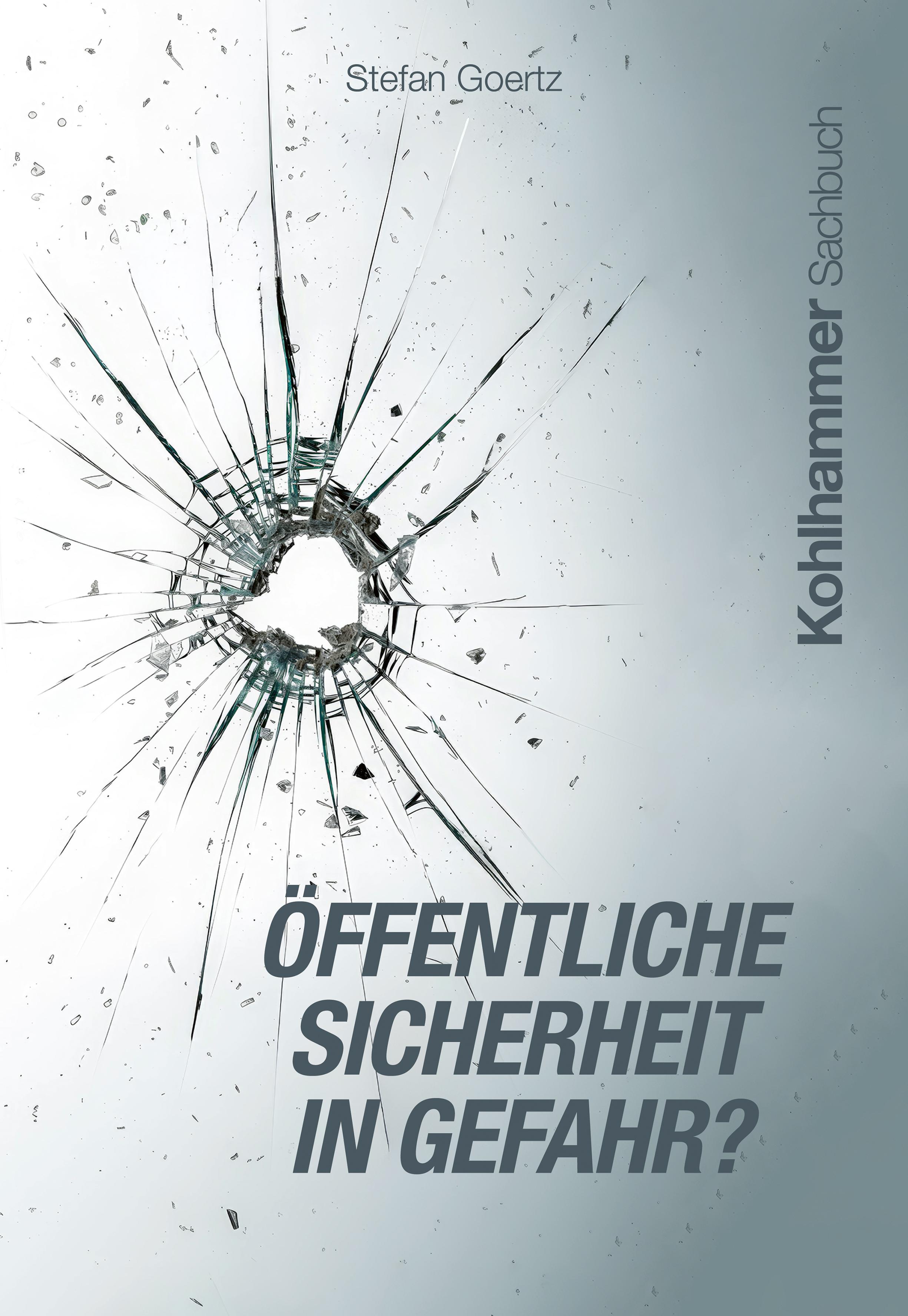 Vorderes Coverbild Öffentliche Sicherheit in Gefahr?