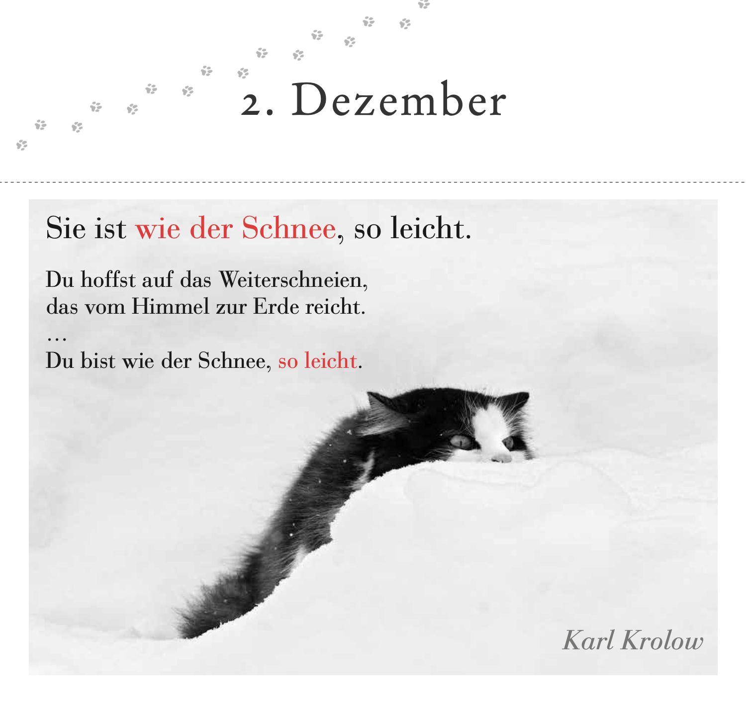 Beispielinhalt (Bild) Der literarische Katzen-Adventskalender