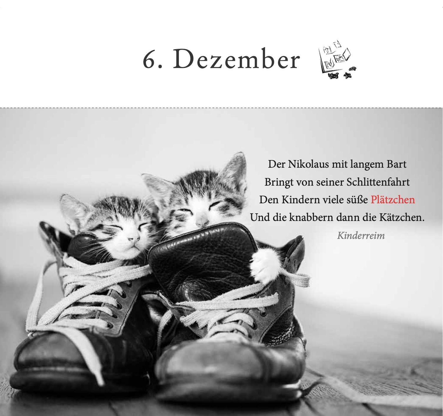 Beispielinhalt (Bild) Der literarische Katzen-Adventskalender
