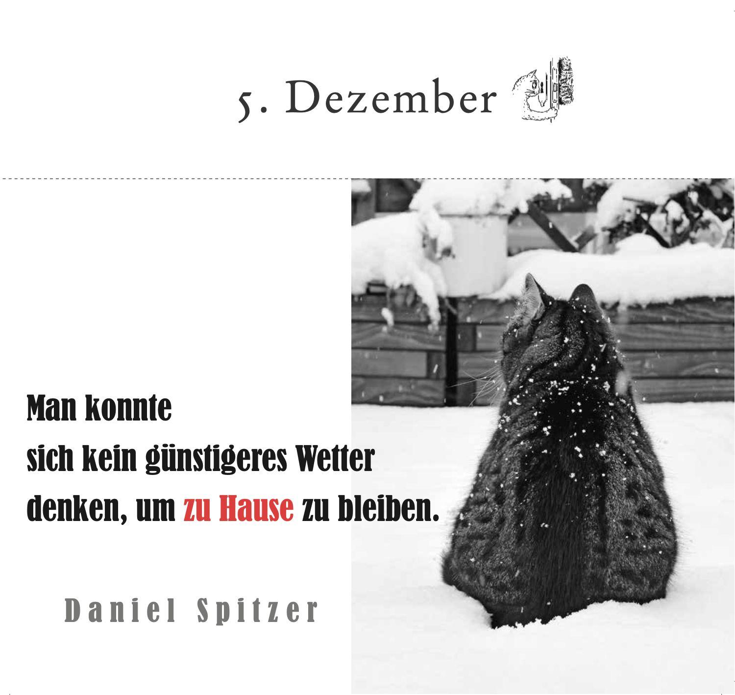 Beispielinhalt (Bild) Der literarische Katzen-Adventskalender