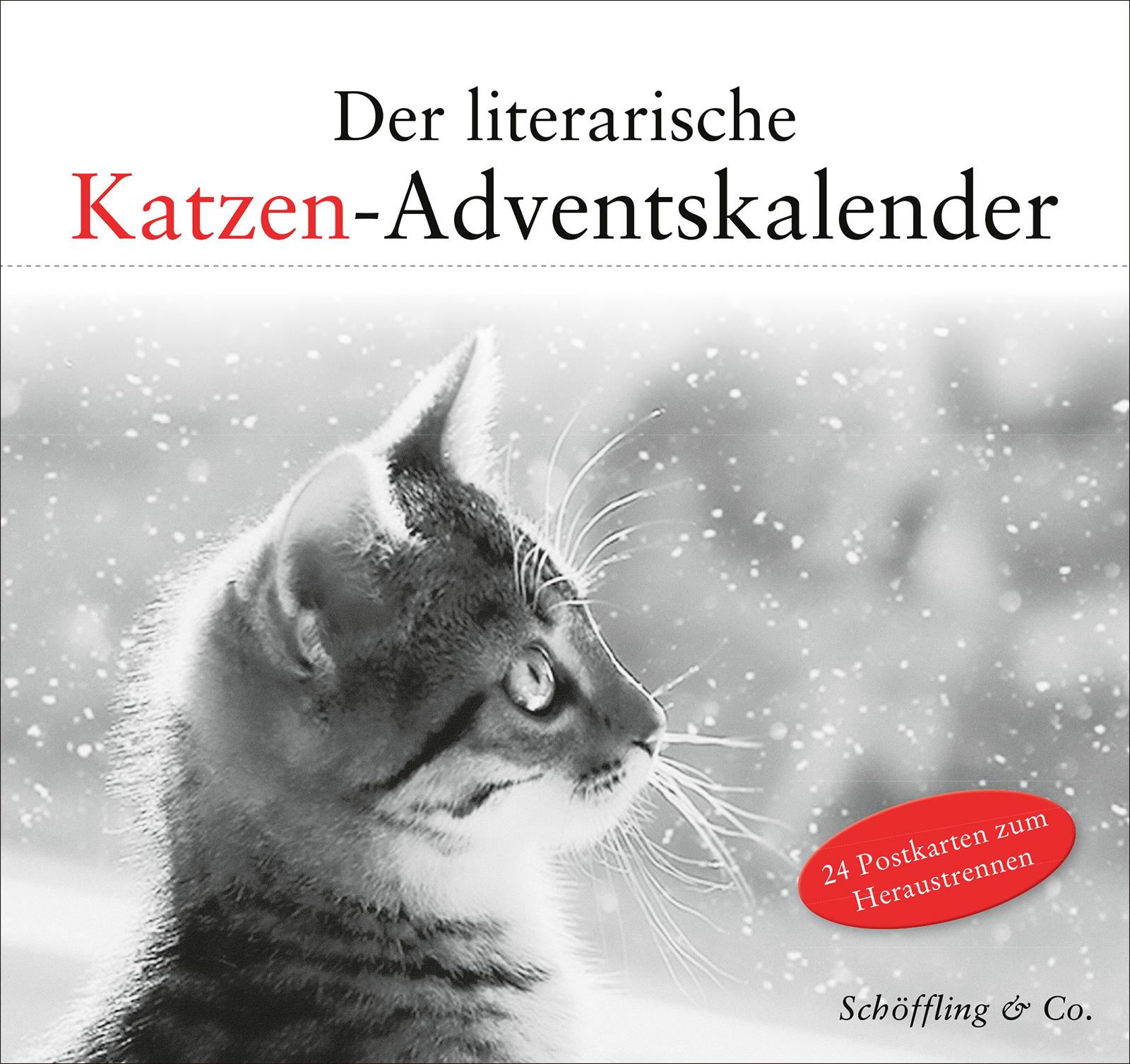 Vorderes Coverbild Der literarische Katzen-Adventskalender
