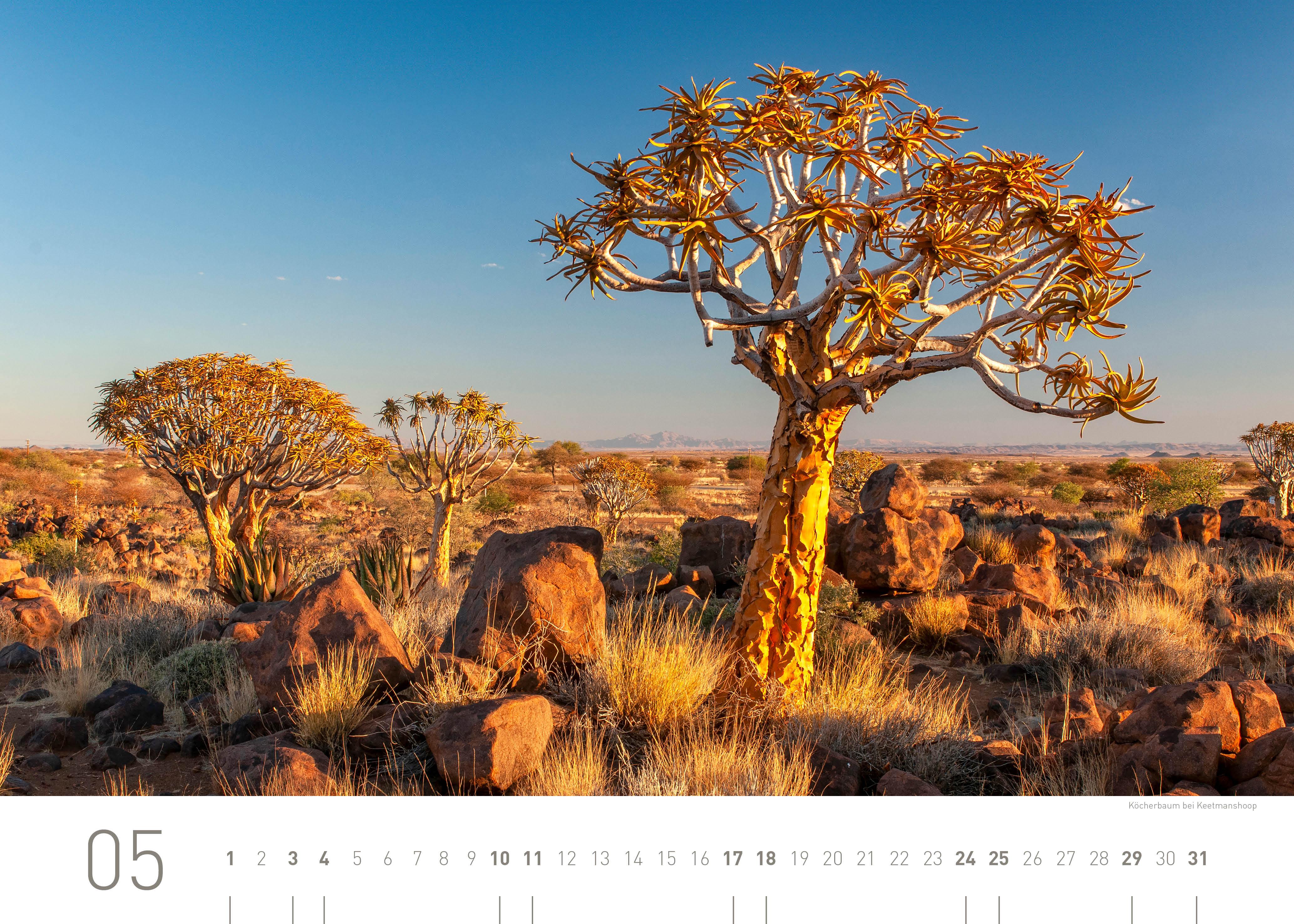Beispielinhalt (Bild) 360° Namibia Exklusivkalender 2025