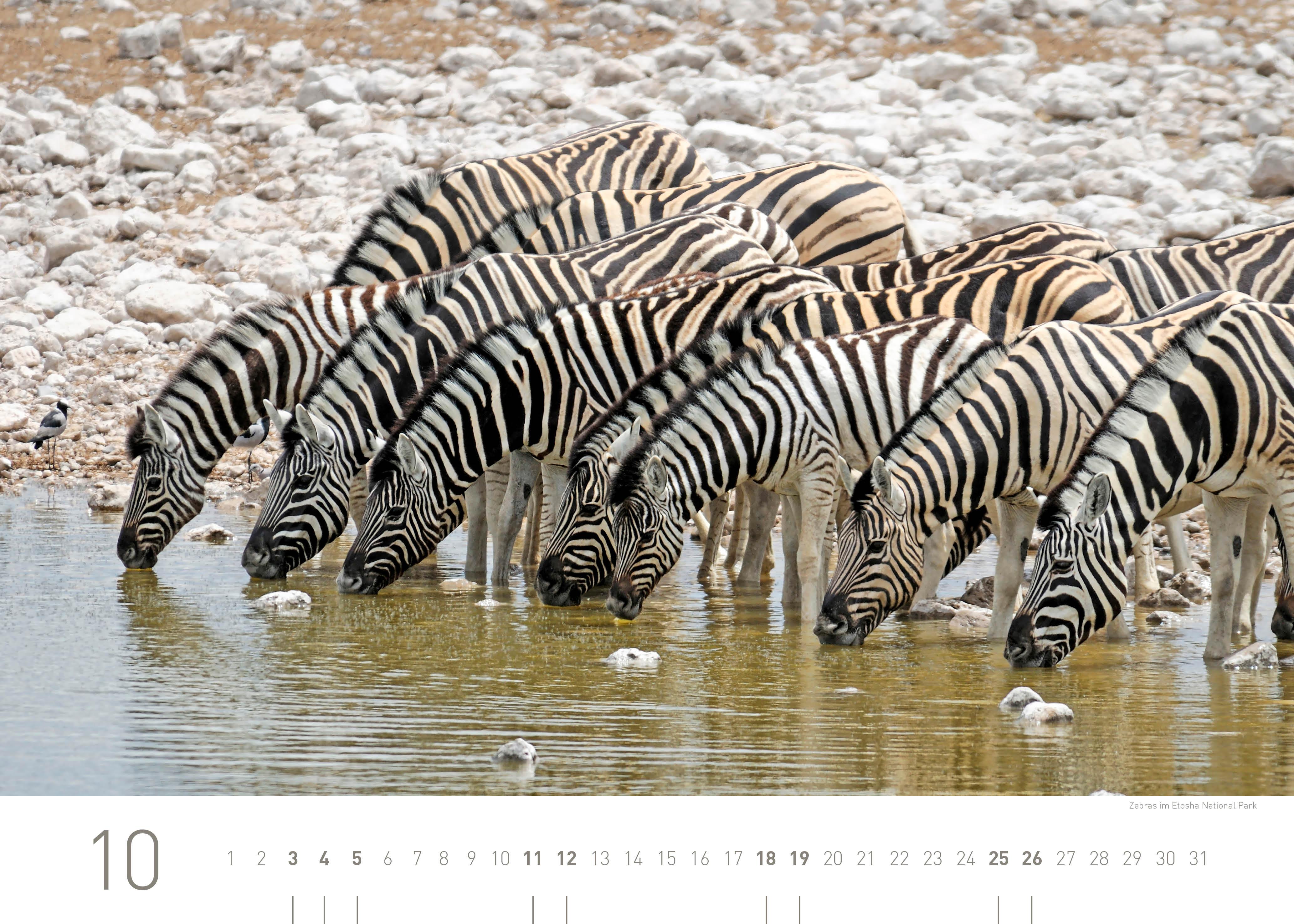 Beispielinhalt (Bild) 360° Namibia Exklusivkalender 2025
