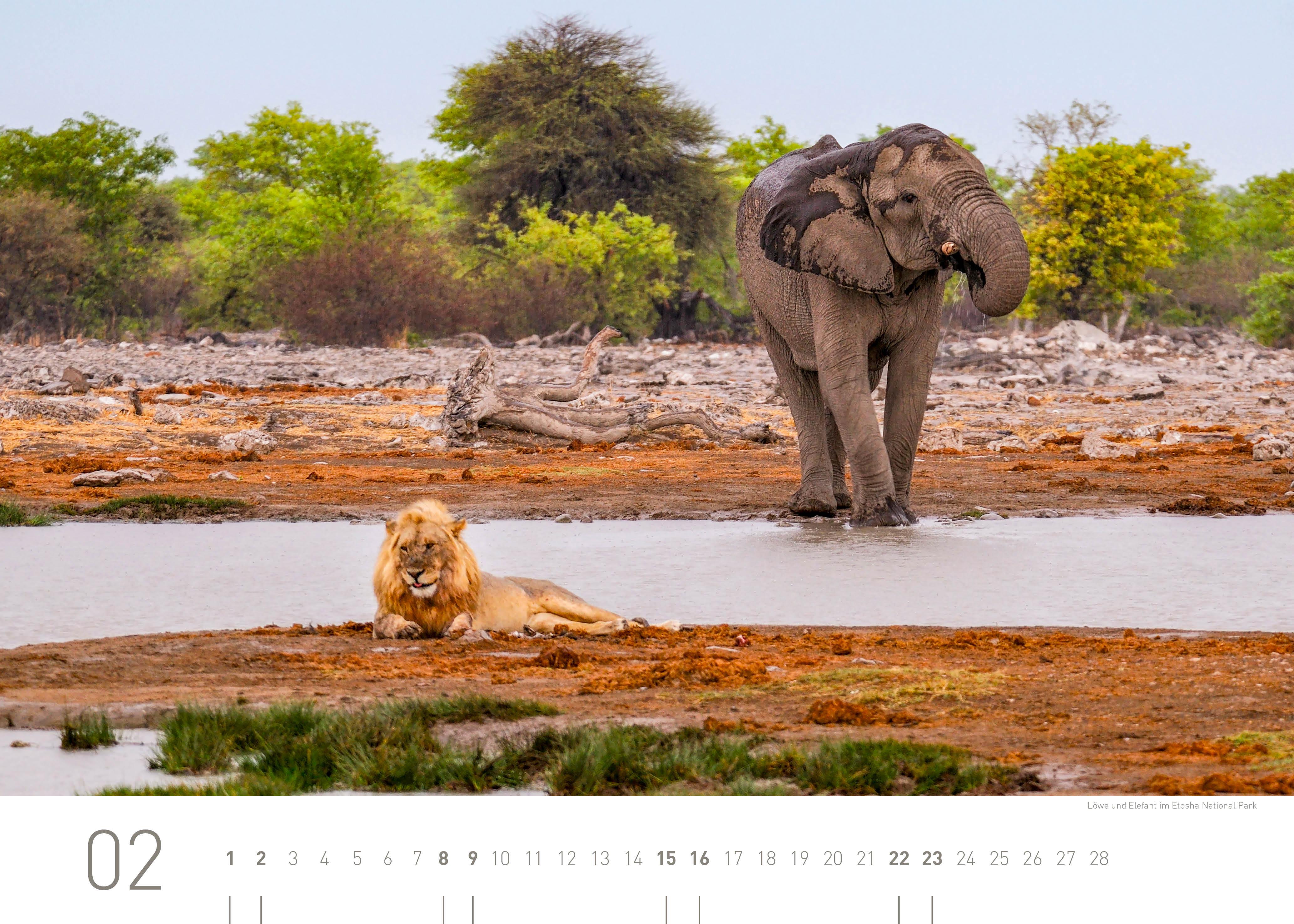 Beispielinhalt (Bild) 360° Namibia Exklusivkalender 2025