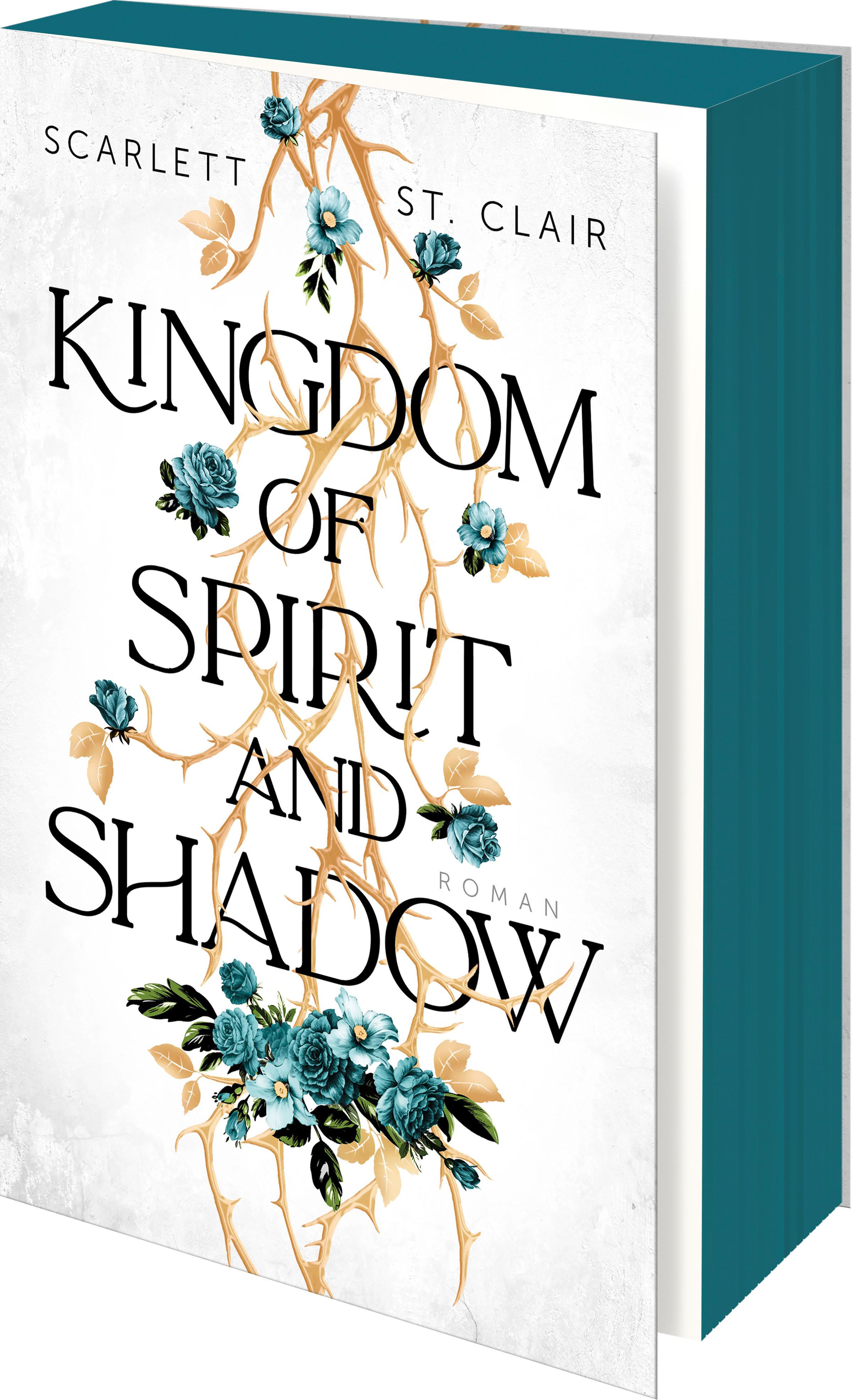 Vorderes Coverbild Kingdom of Spirit and Shadow