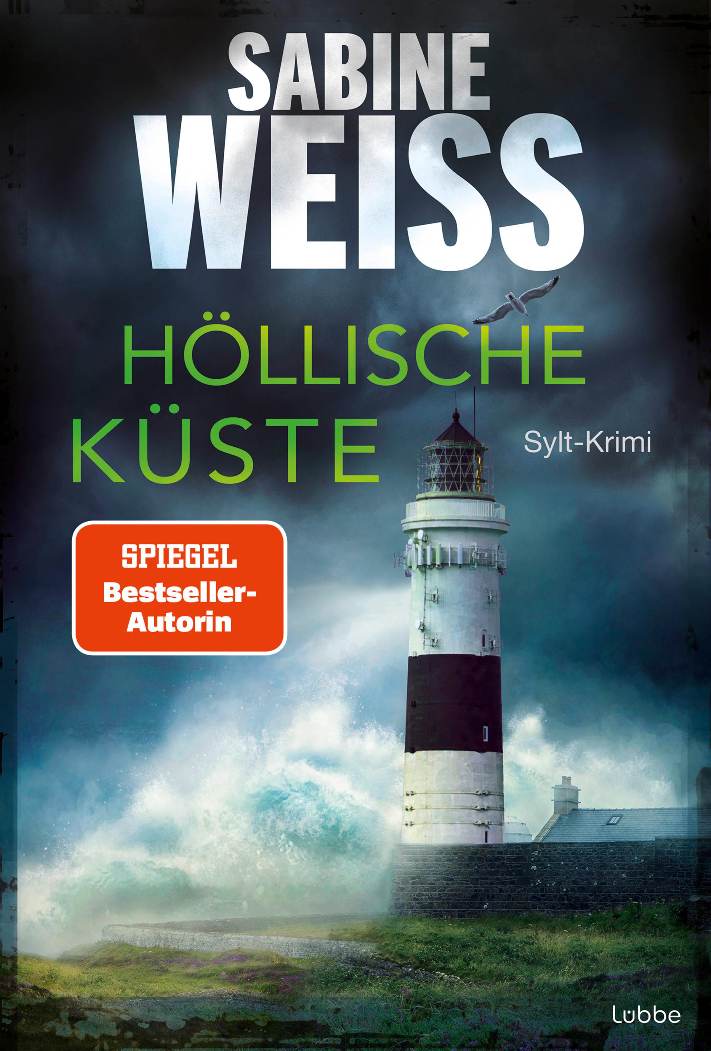 Vorderes Coverbild Höllische Küste