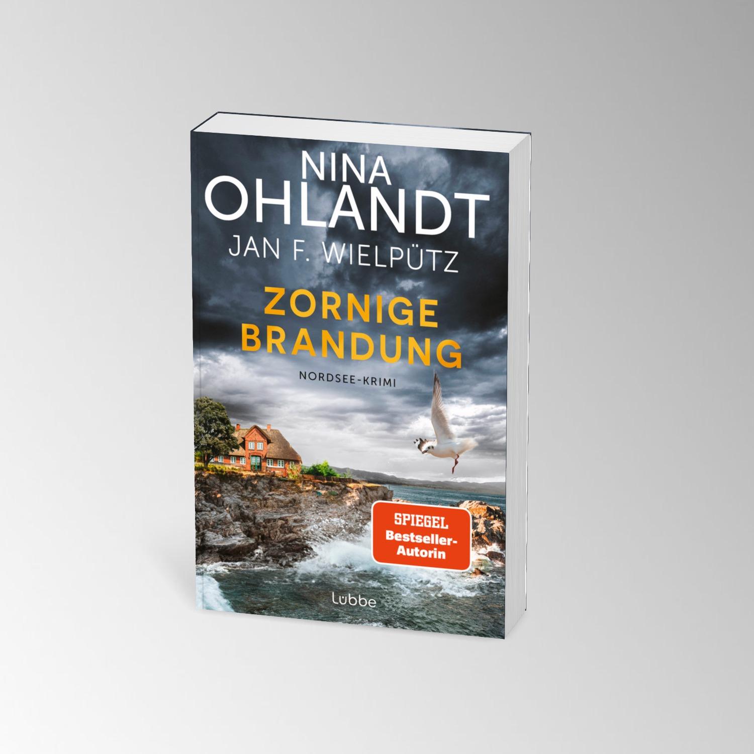 Beispielinhalt (Bild) Zornige Brandung