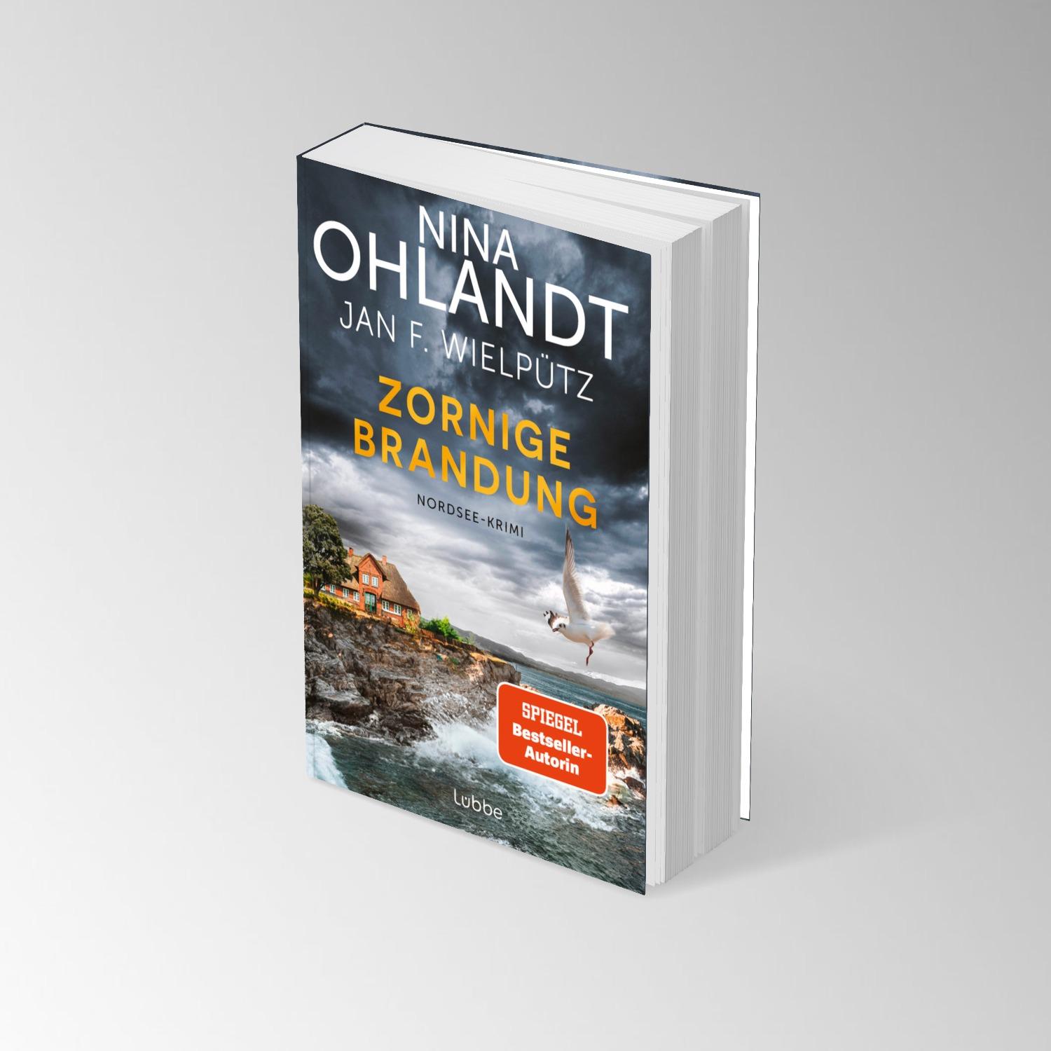 Beispielinhalt (Bild) Zornige Brandung