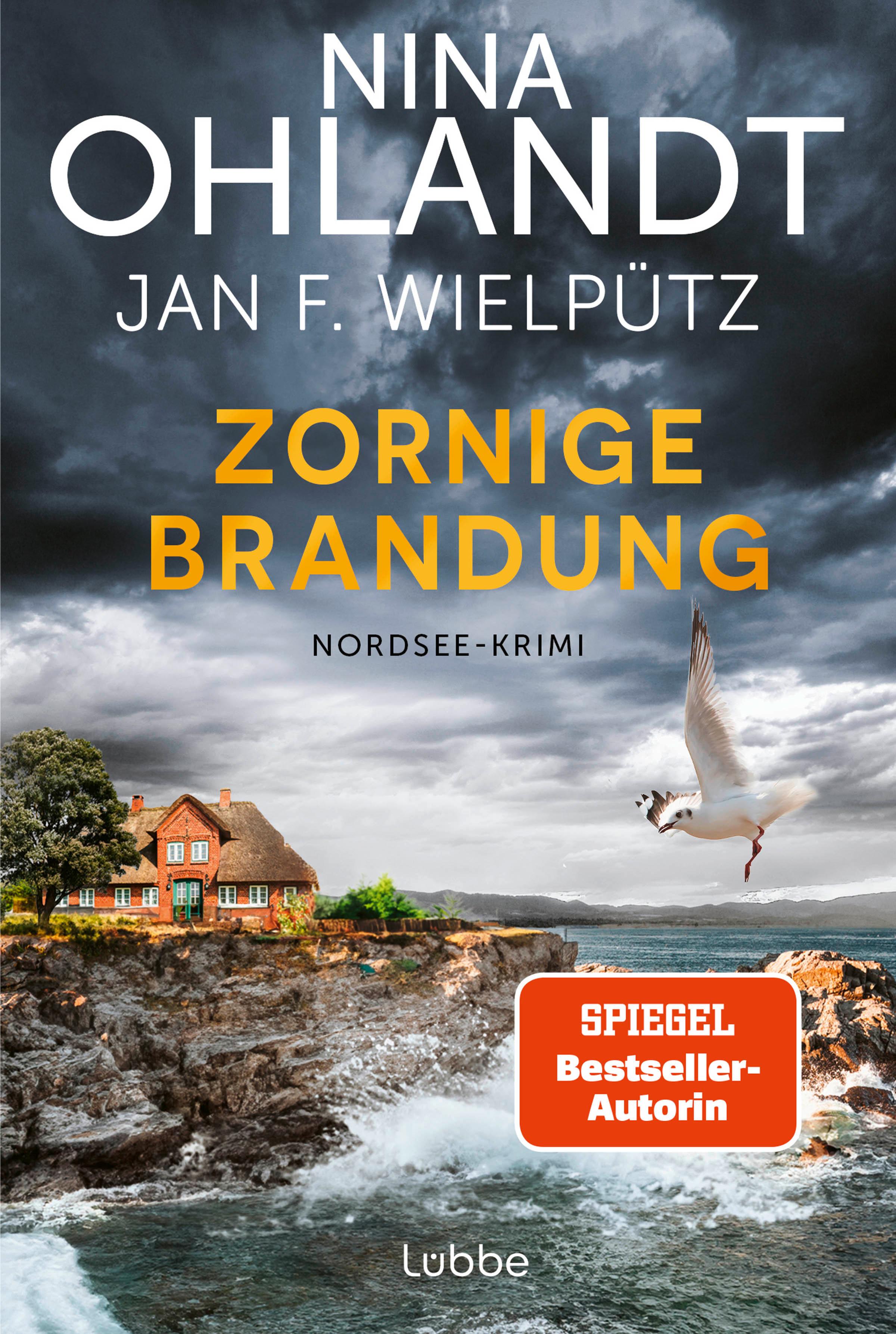 Vorderes Coverbild Zornige Brandung