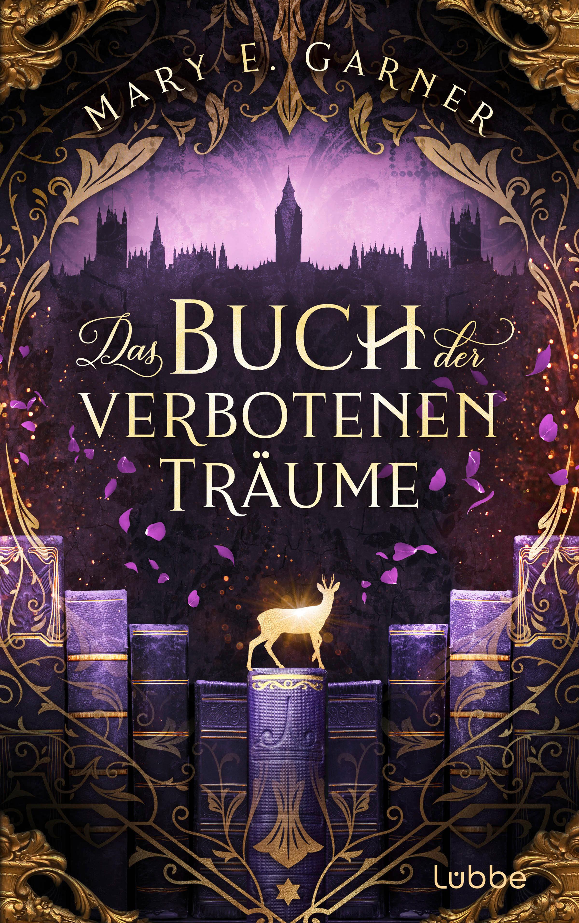 Vorderes Coverbild Das Buch der verbotenen Träume