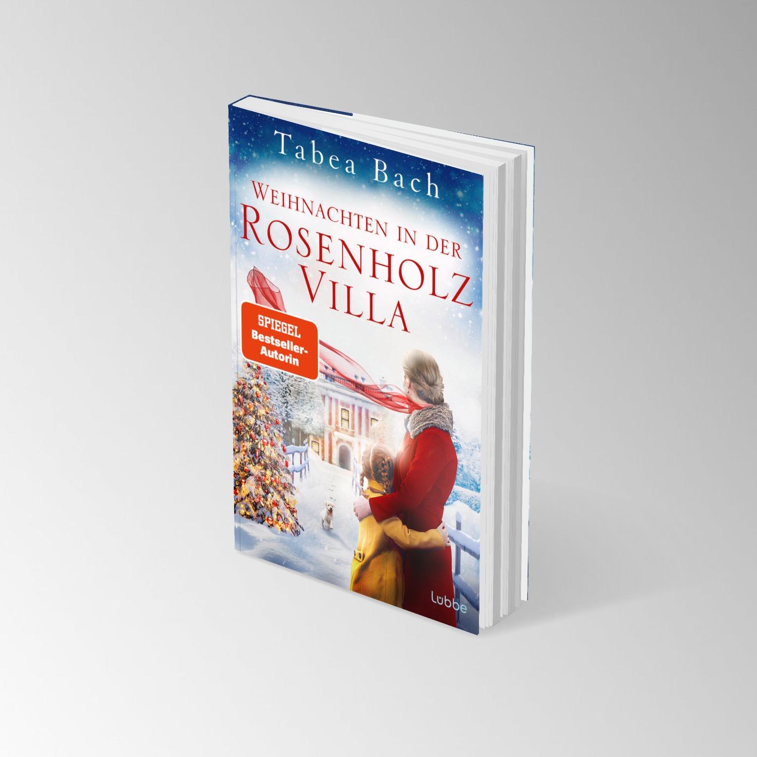 Beispielinhalt (Bild) Weihnachten in der Rosenholzvilla