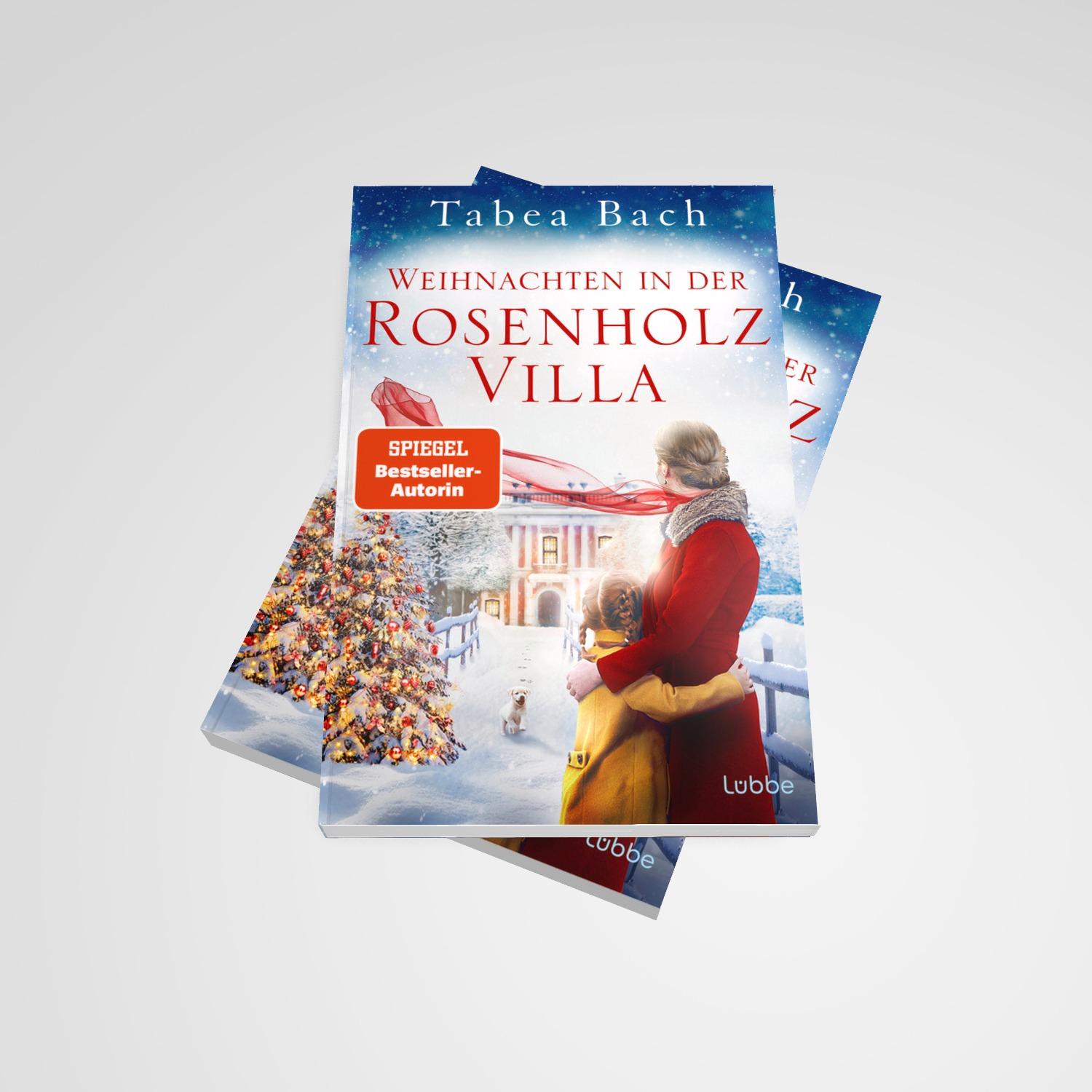 Beispielinhalt (Bild) Weihnachten in der Rosenholzvilla