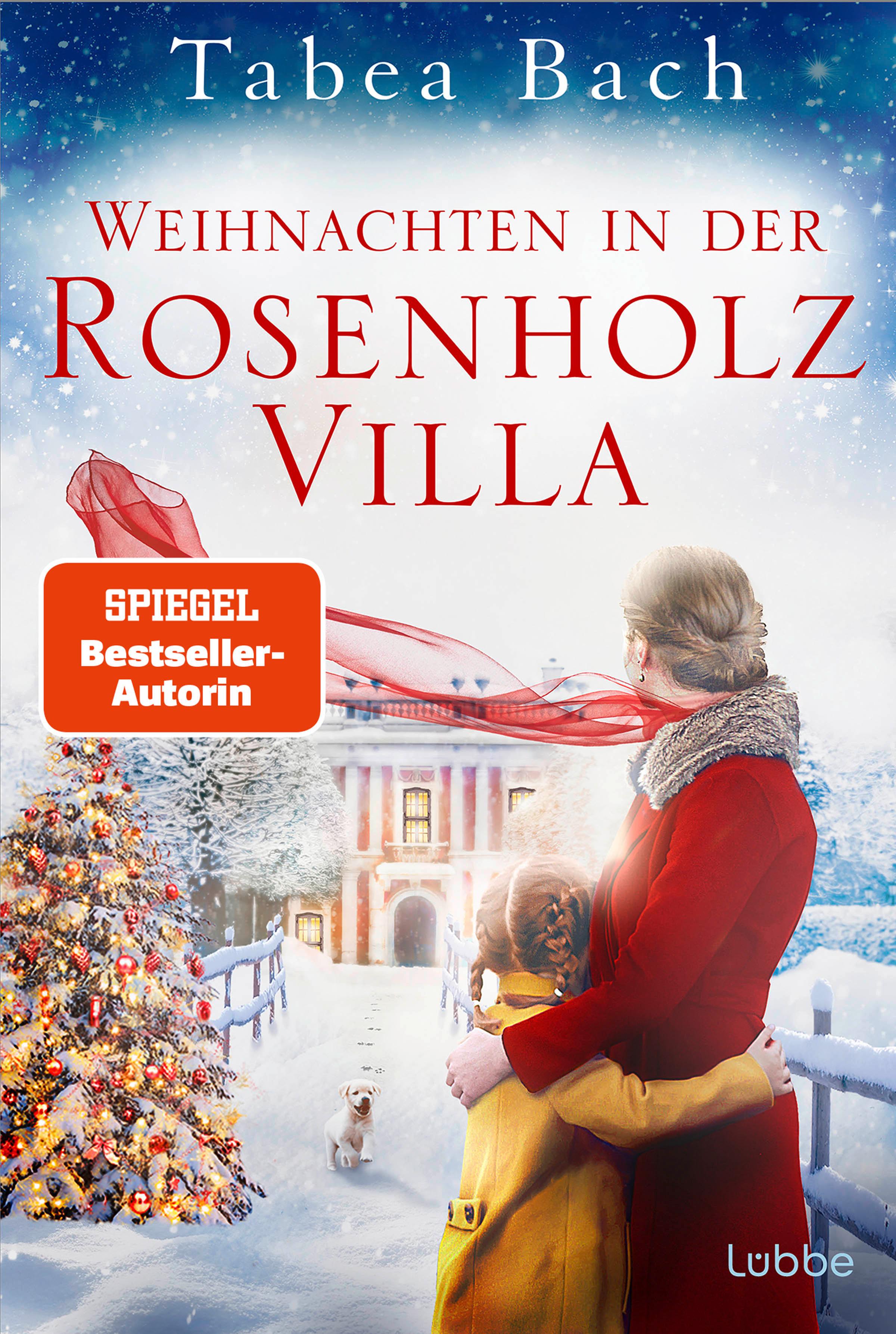 Vorderes Coverbild Weihnachten in der Rosenholzvilla