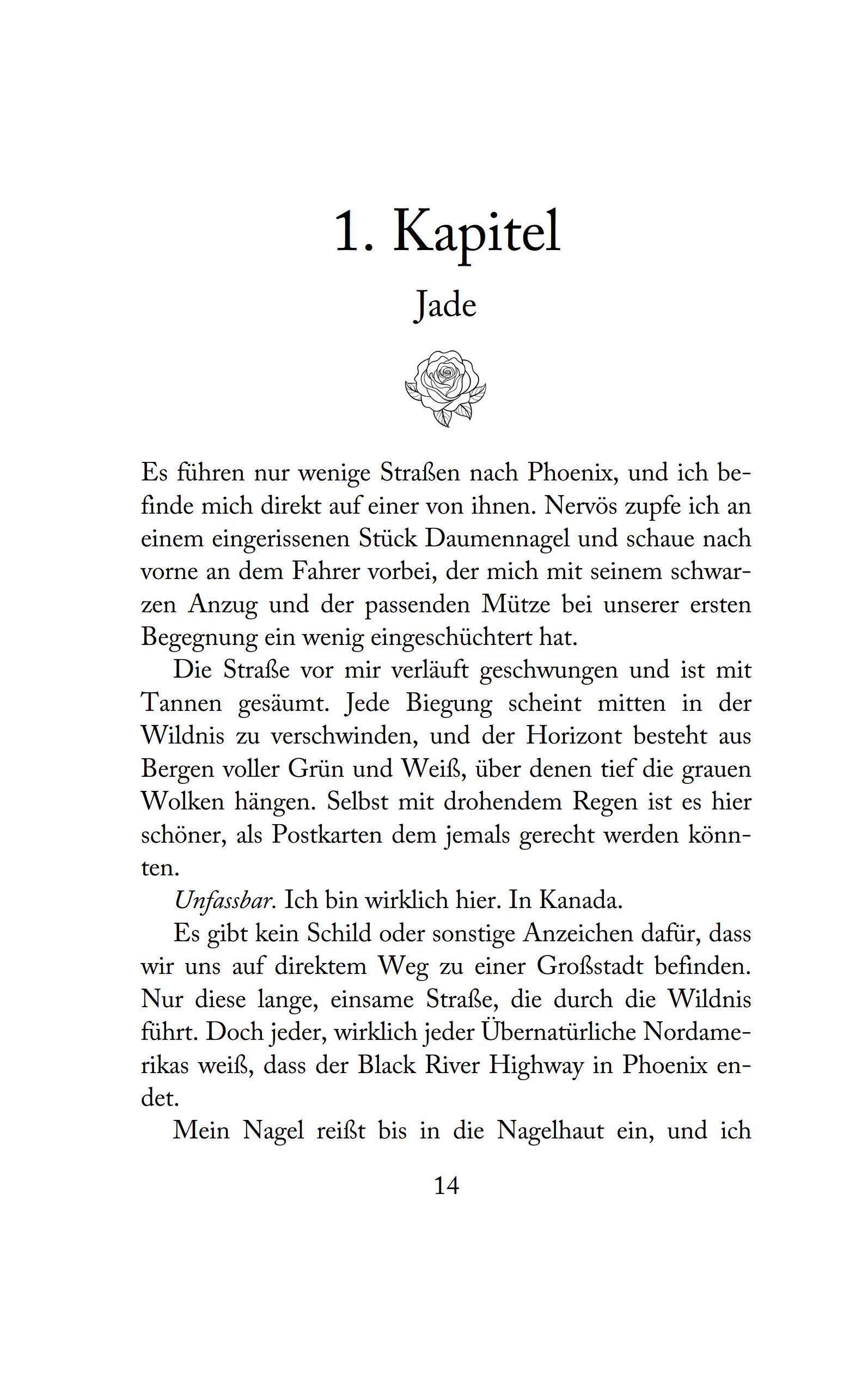 Beispielinhalt (Bild) Die Elite von Ashriver - Hidden Secrets