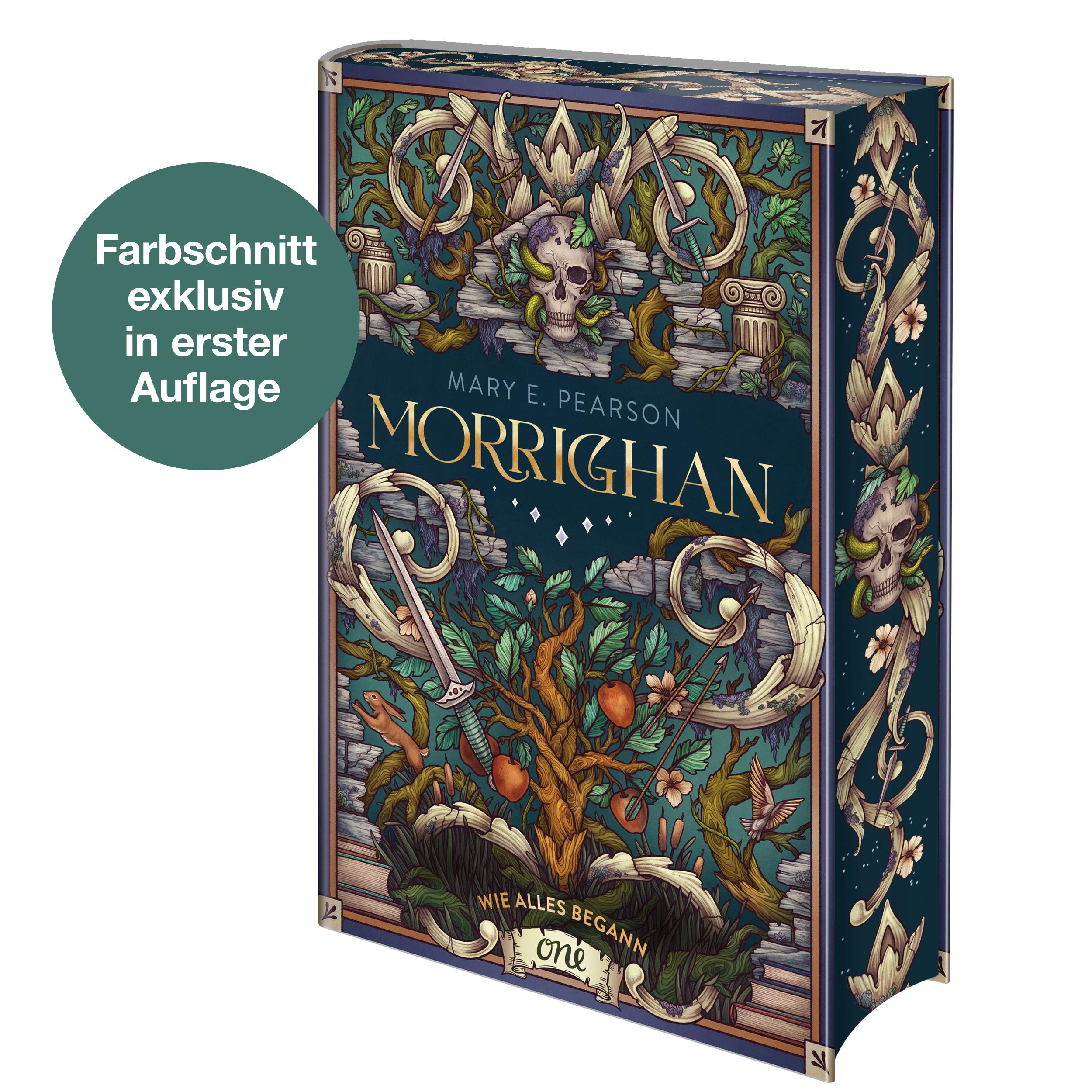 Vorderes Coverbild Morrighan - Wie alles begann