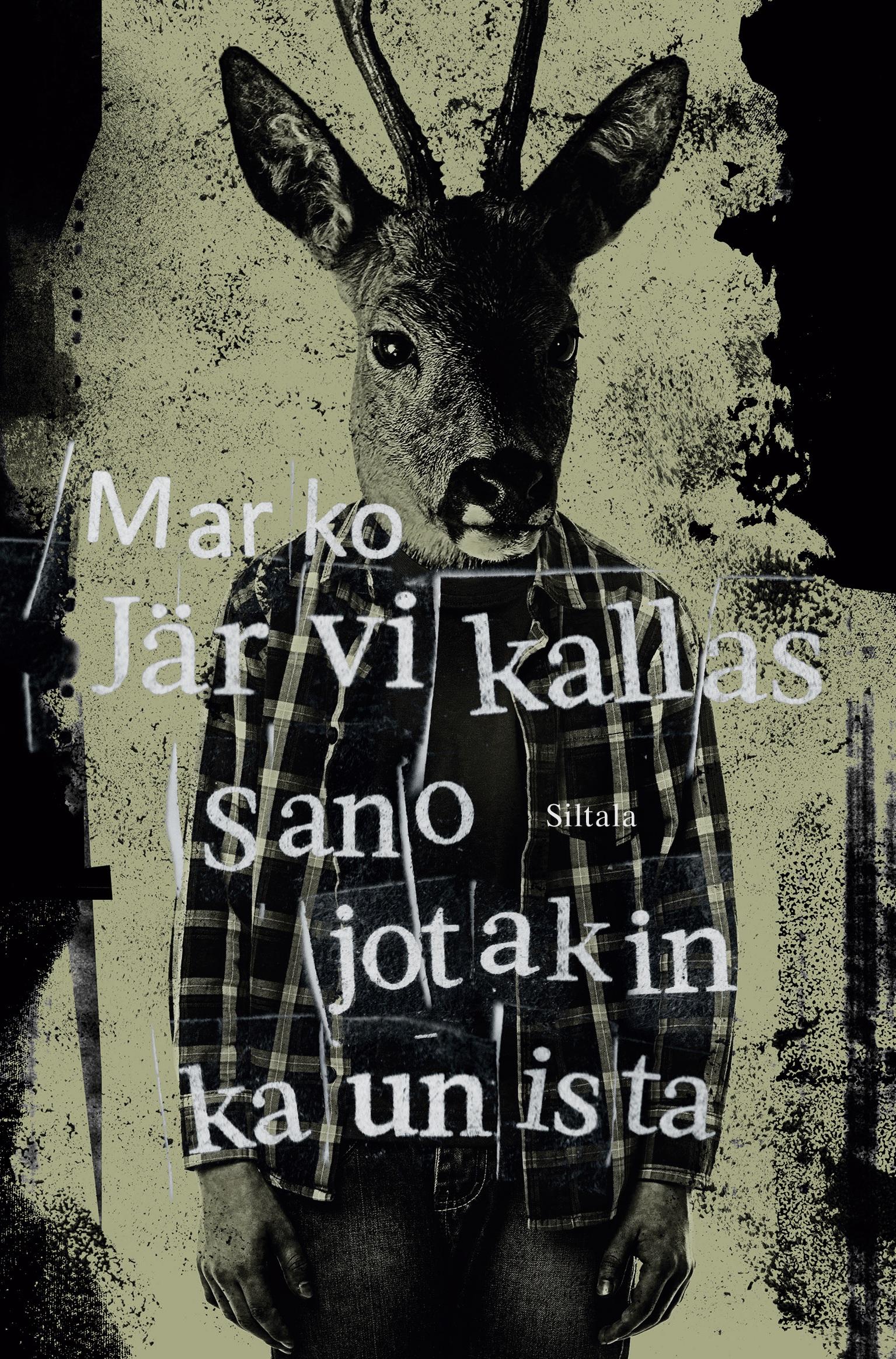 Vorderes Coverbild Sano jotain kaunista