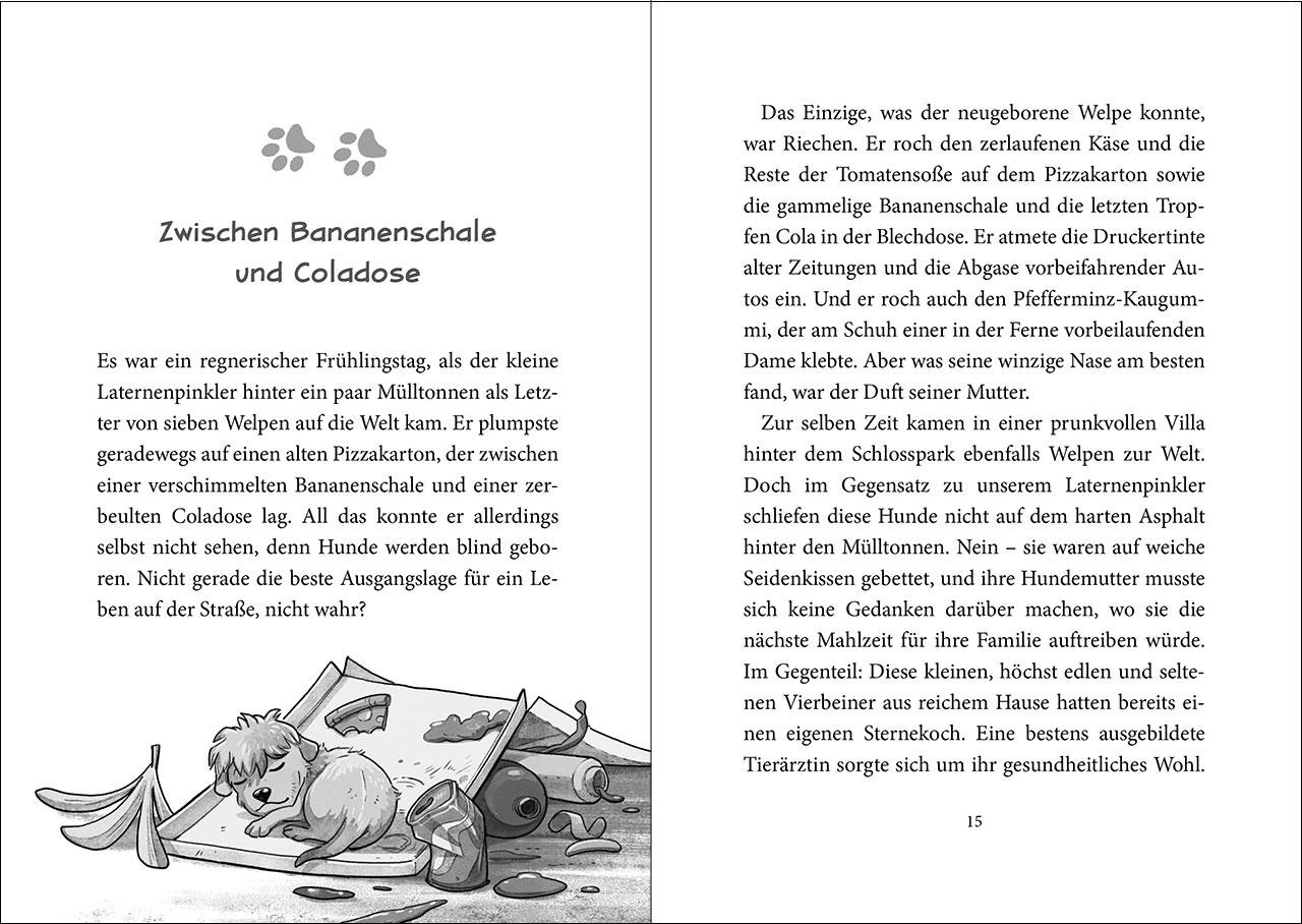 Beispielinhalt (Bild) Die Straßengäng (Band 1) - Eine Pfote wäscht die andere
