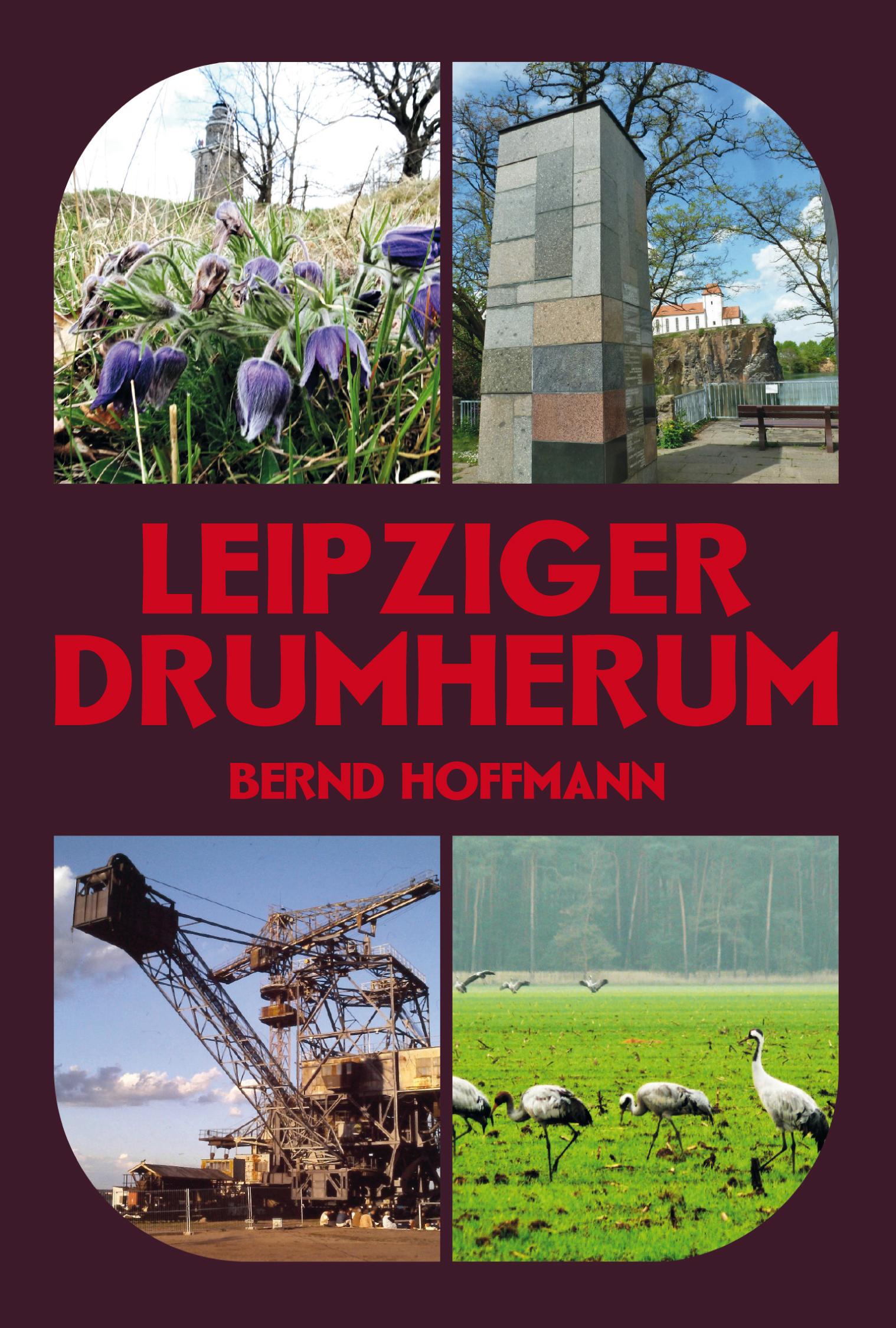 Vorderes Coverbild Leipziger Drumherum