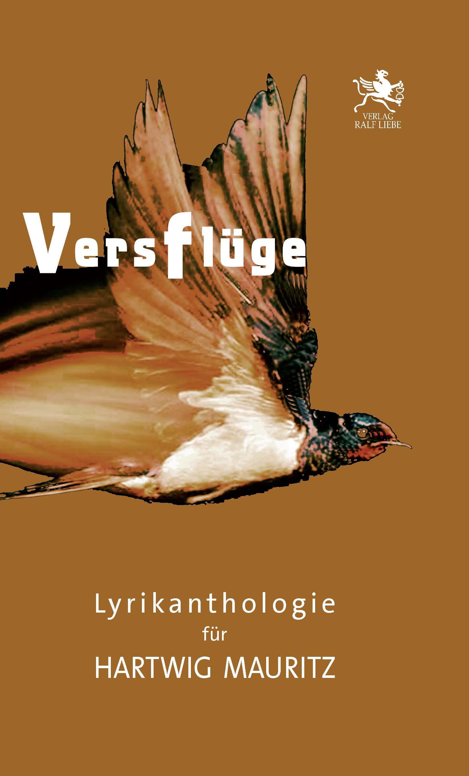Vorderes Coverbild Versflüge