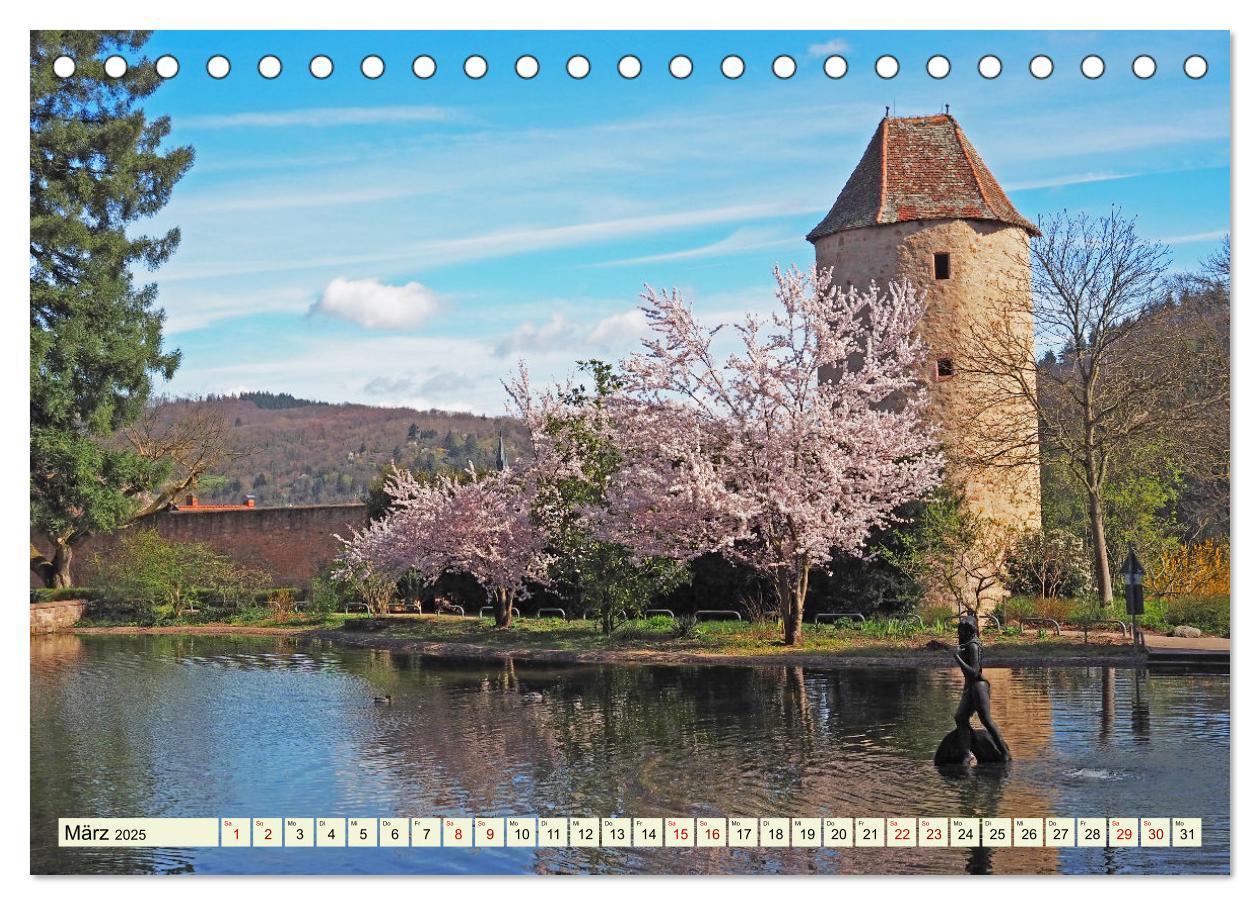 Beispielinhalt (Bild) Unterwegs in Weinheim mit Ilona Andersen (Tischkalender 2025 DIN A5 quer), CALVENDO Monatskalender
