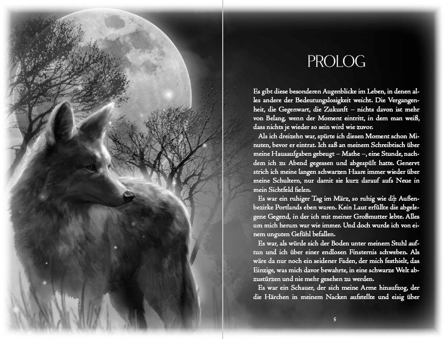 Beispielinhalt (Bild) Kissing the Dark