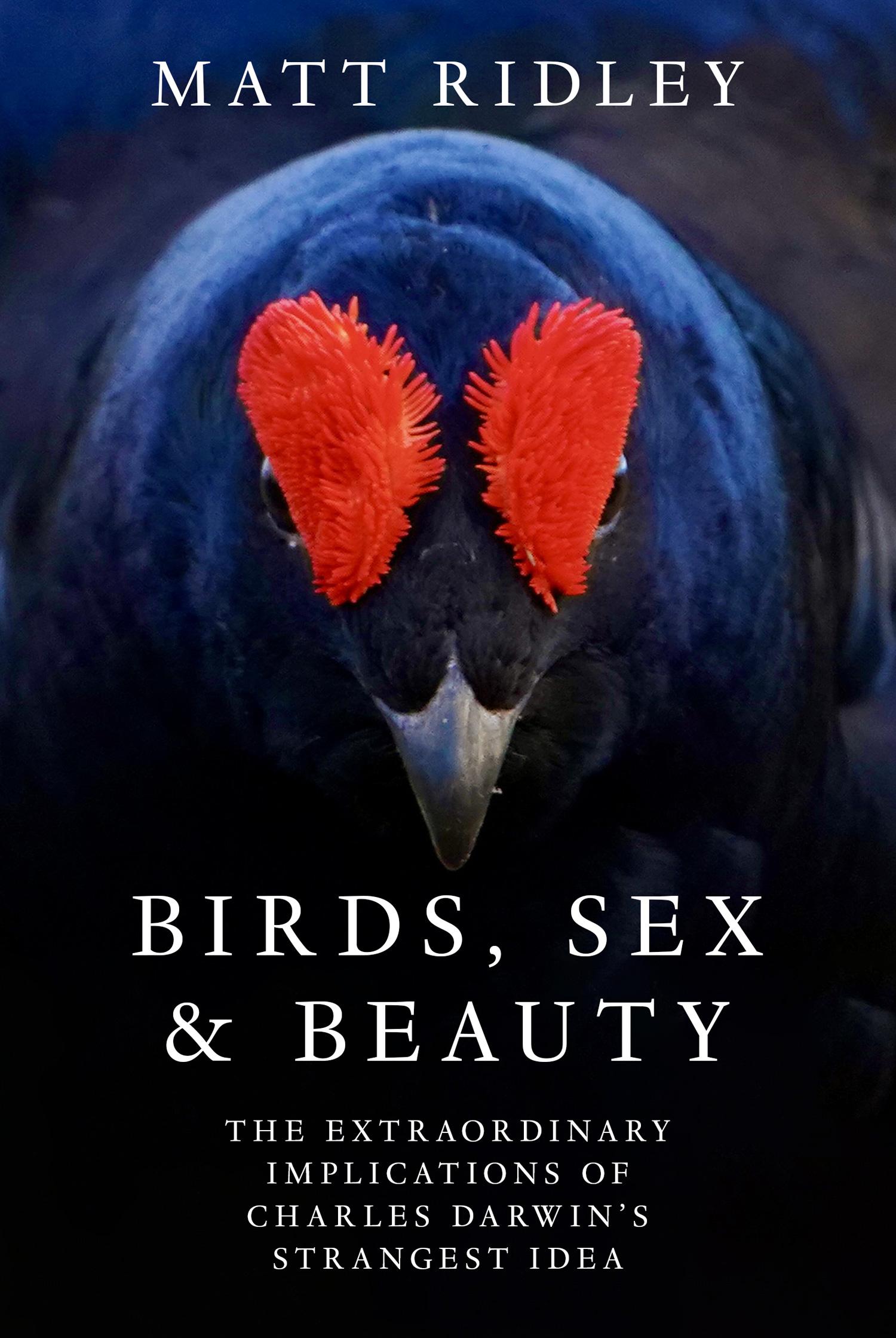 Vorderes Coverbild Birds, Sex and Beauty