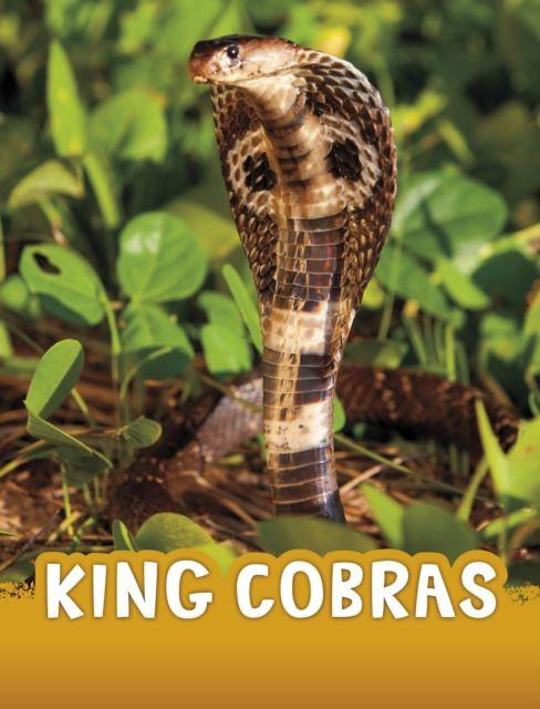Vorderes Coverbild King Cobras