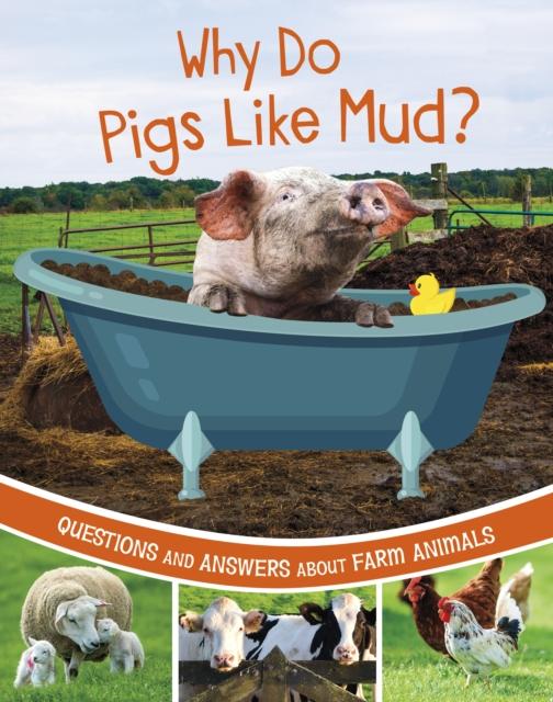 Vorderes Coverbild Why Do Pigs Like Mud?