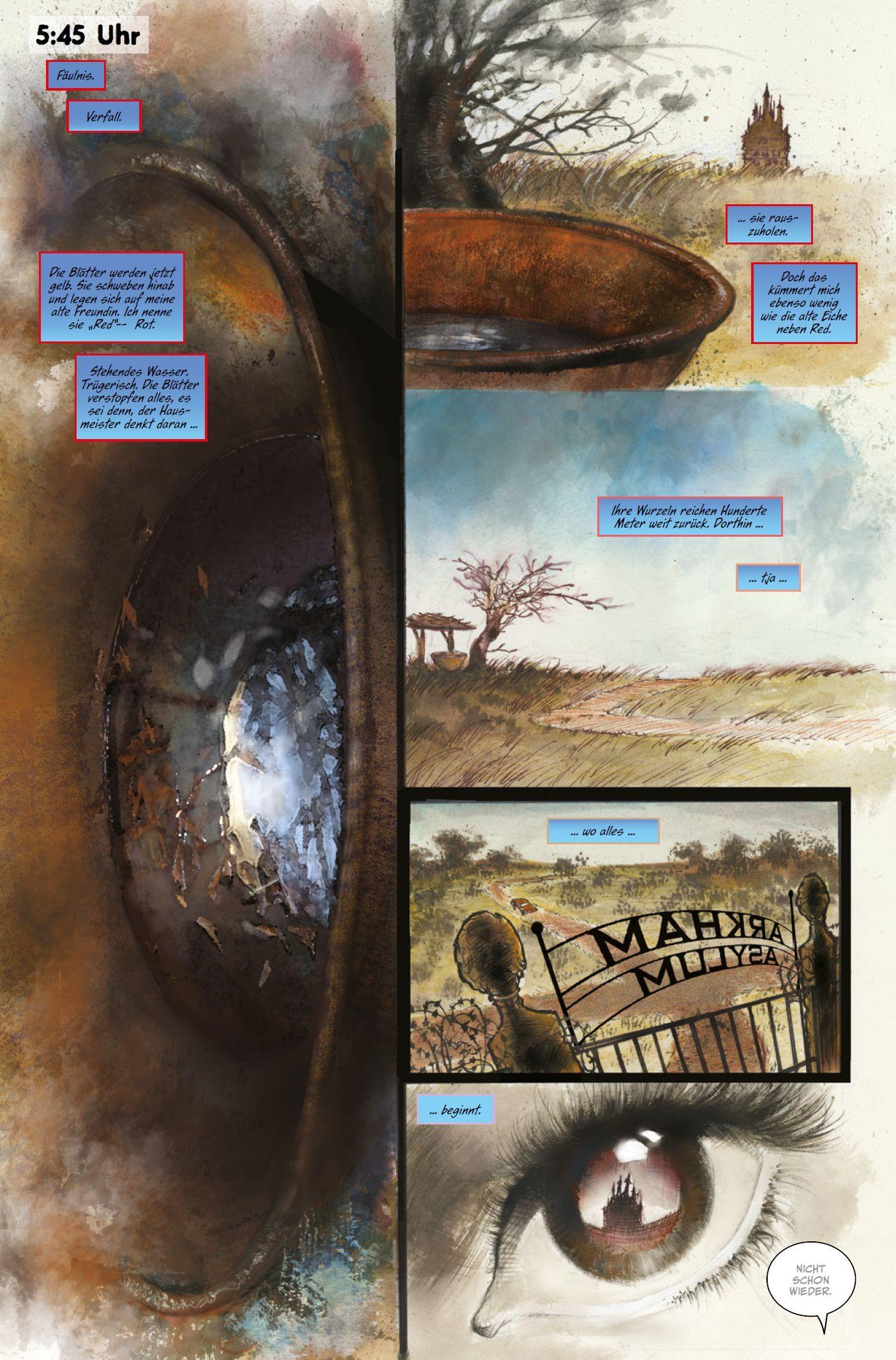 Beispielinhalt (Bild) Batman: Geheimnisse & Arkham Asylum: Madness (Deluxe Edition)