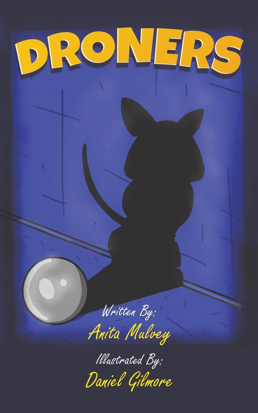 Vorderes Coverbild Droners