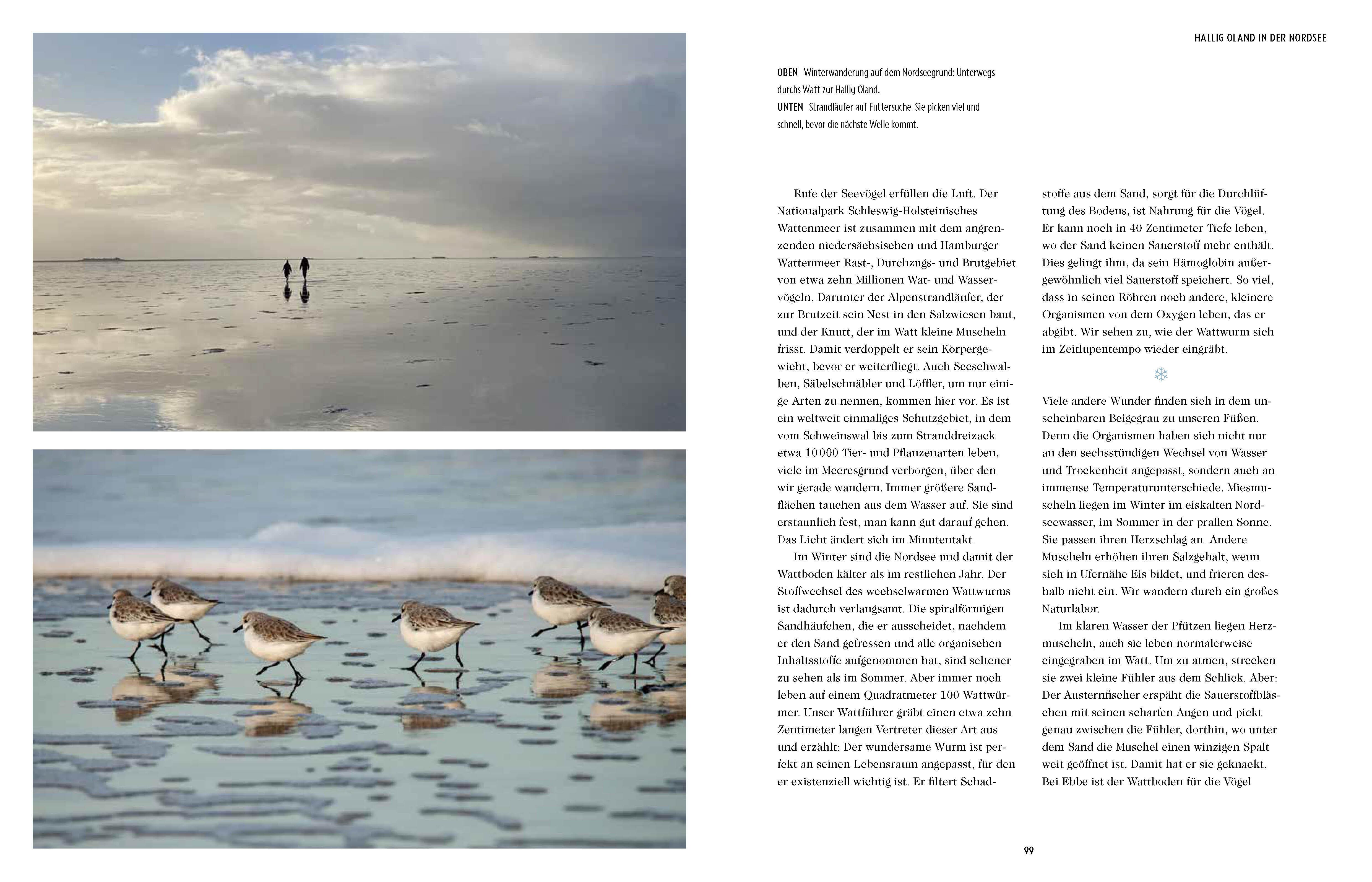 Beispielinhalt (Bild) Winterreise