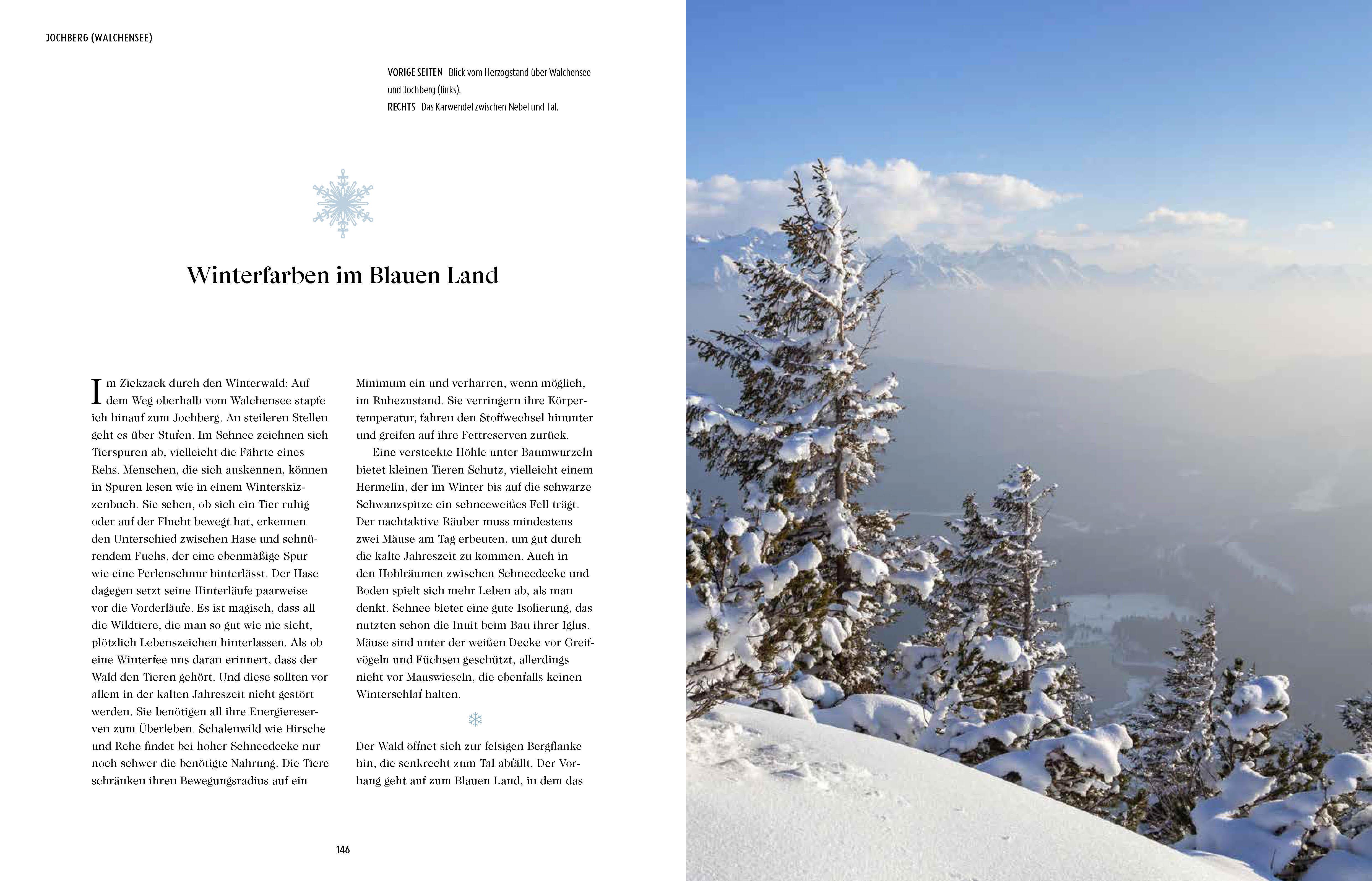 Beispielinhalt (Bild) Winterreise