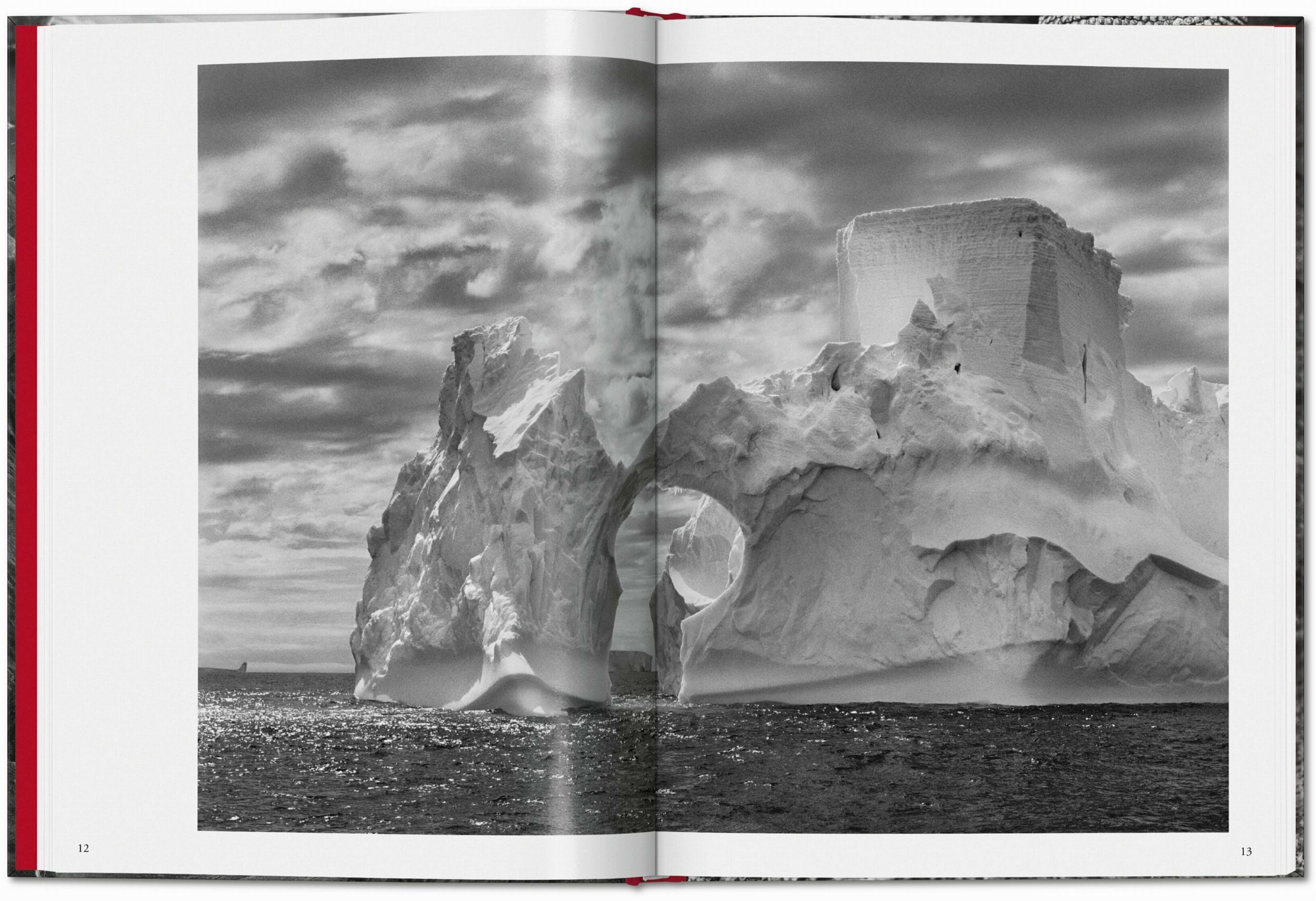 Beispielinhalt (Bild) Sebastião Salgado. Genesis