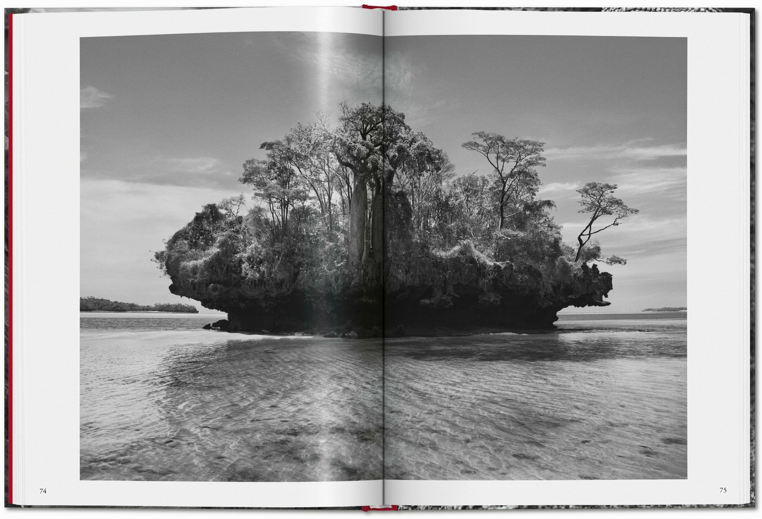 Beispielinhalt (Bild) Sebastião Salgado. Genesis