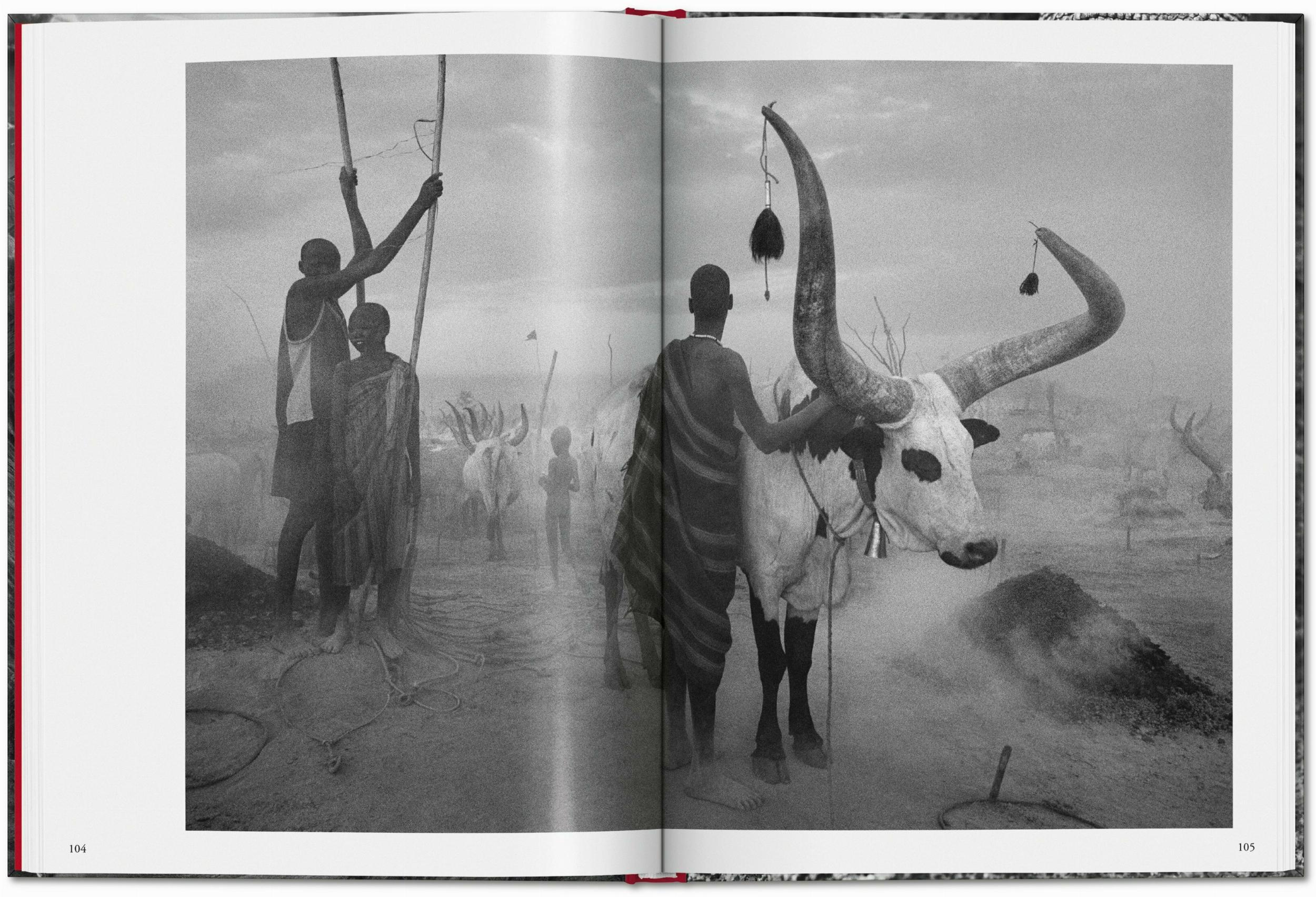 Beispielinhalt (Bild) Sebastião Salgado. Genesis