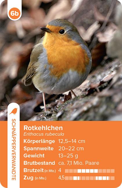Beispielinhalt (Bild) Einheimische Vogelarten - das Quartett-Spiel