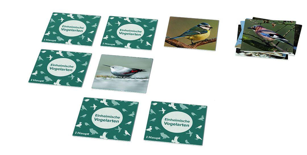 Beispielinhalt (Bild) Einheimische Vogelarten - das Memo-Spiel