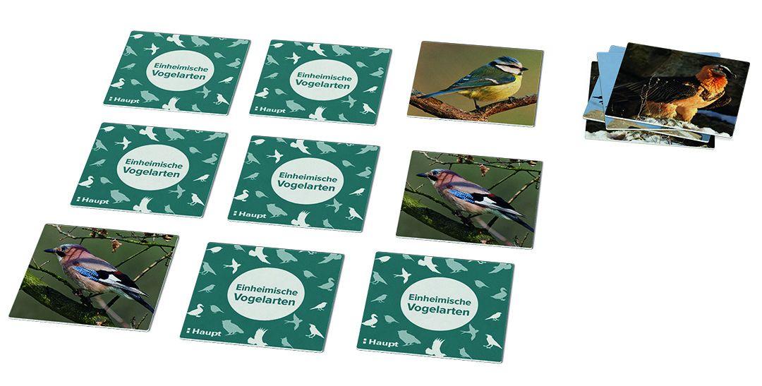 Beispielinhalt (Bild) Einheimische Vogelarten - das Memo-Spiel