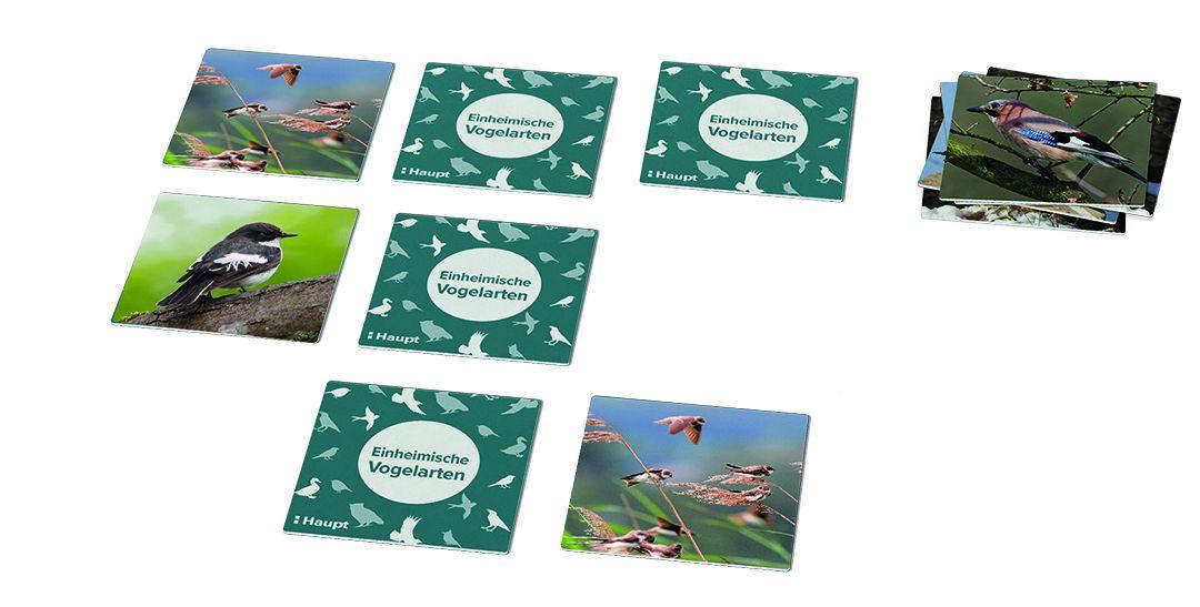 Beispielinhalt (Bild) Einheimische Vogelarten - das Memo-Spiel
