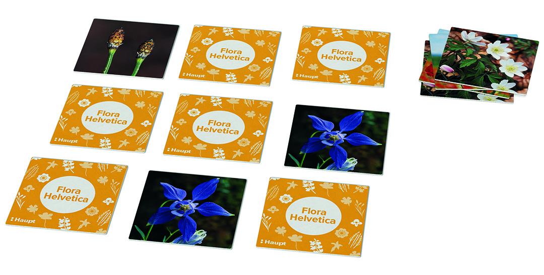 Beispielinhalt (Bild) Flora Helvetica - das Memo-Spiel