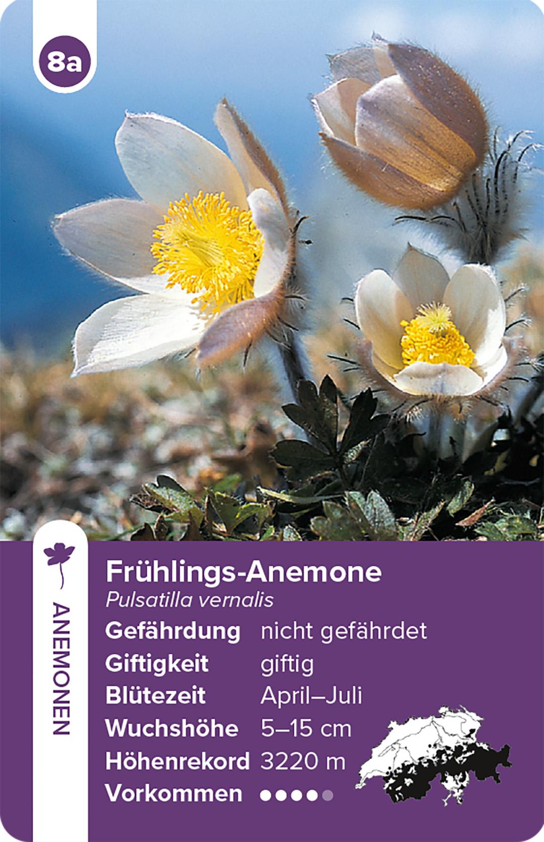 Beispielinhalt (Bild) Flora Helvetica - das Quartett-Spiel