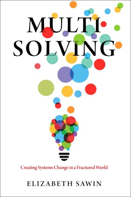 Vorderes Coverbild Multisolving