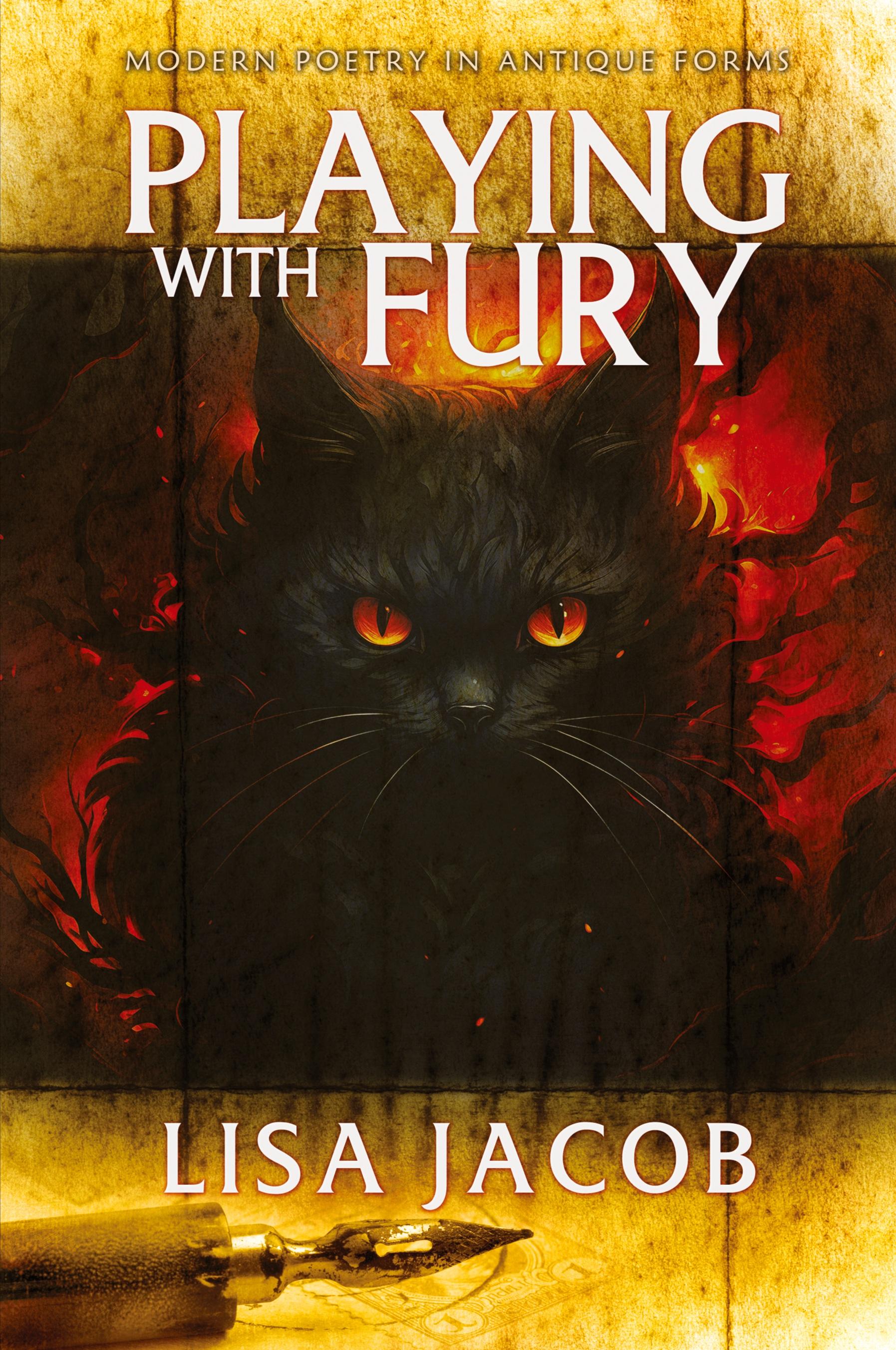 Vorderes Coverbild Playing With Fury