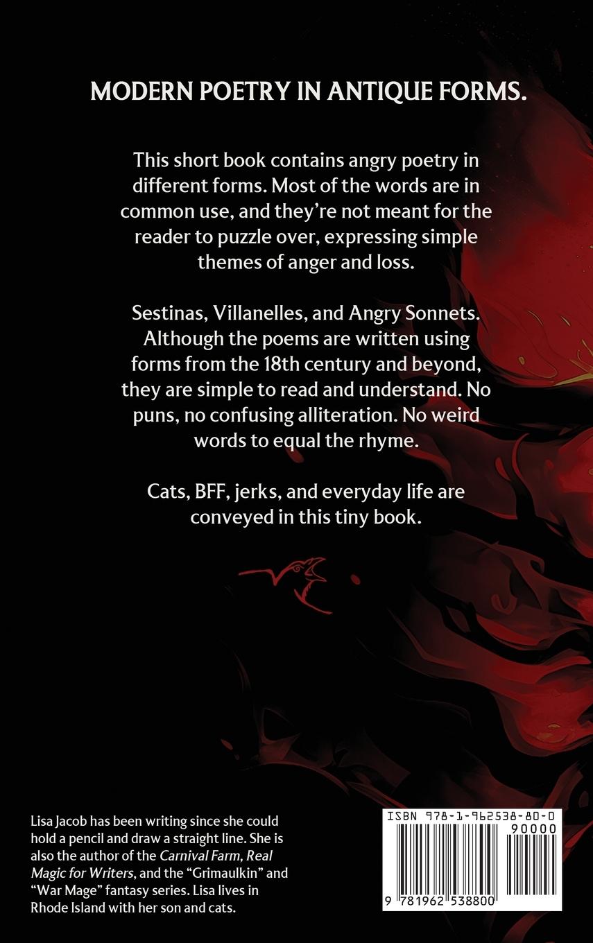 Rückseitencover Playing With Fury