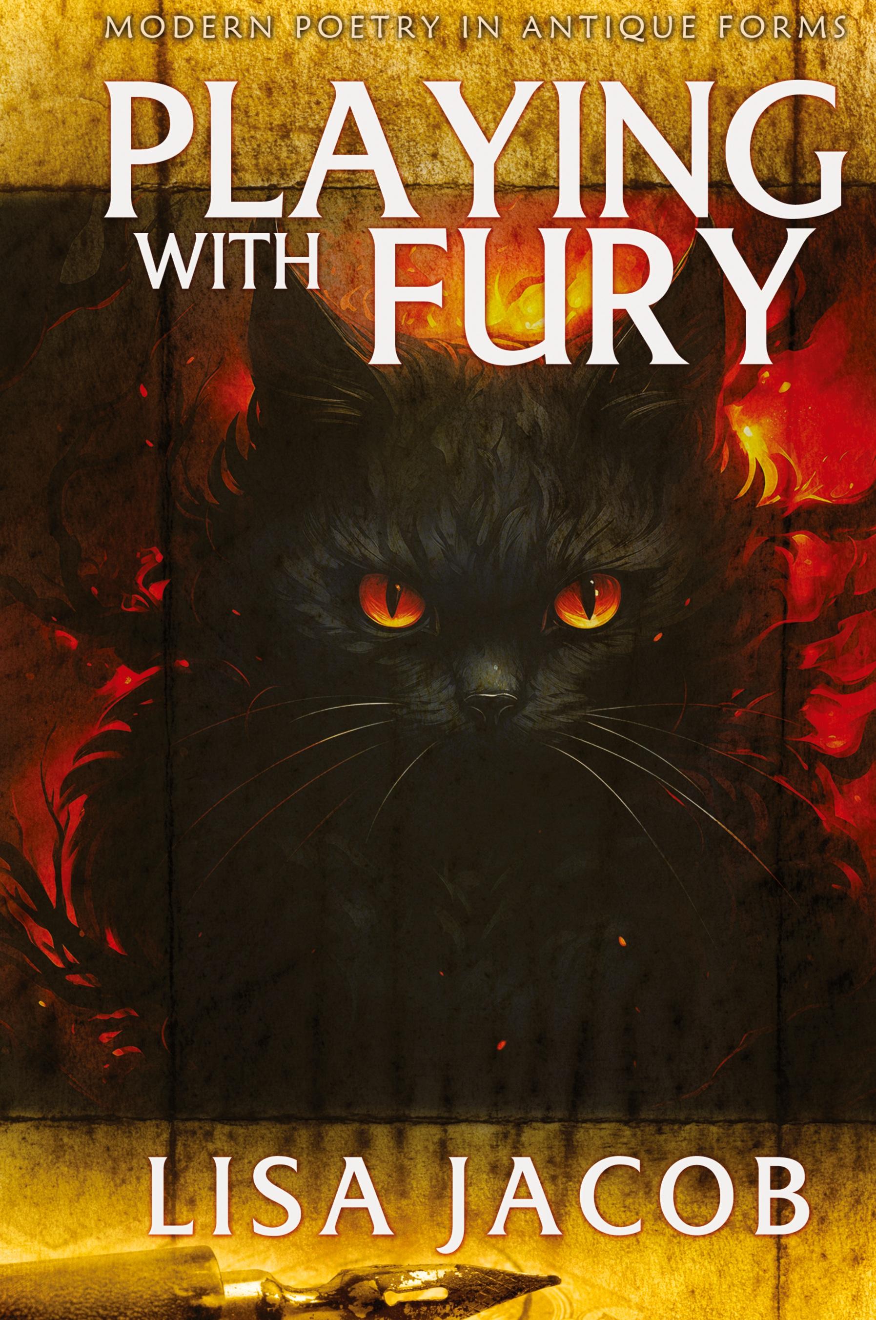 Vorderes Coverbild Playing With Fury