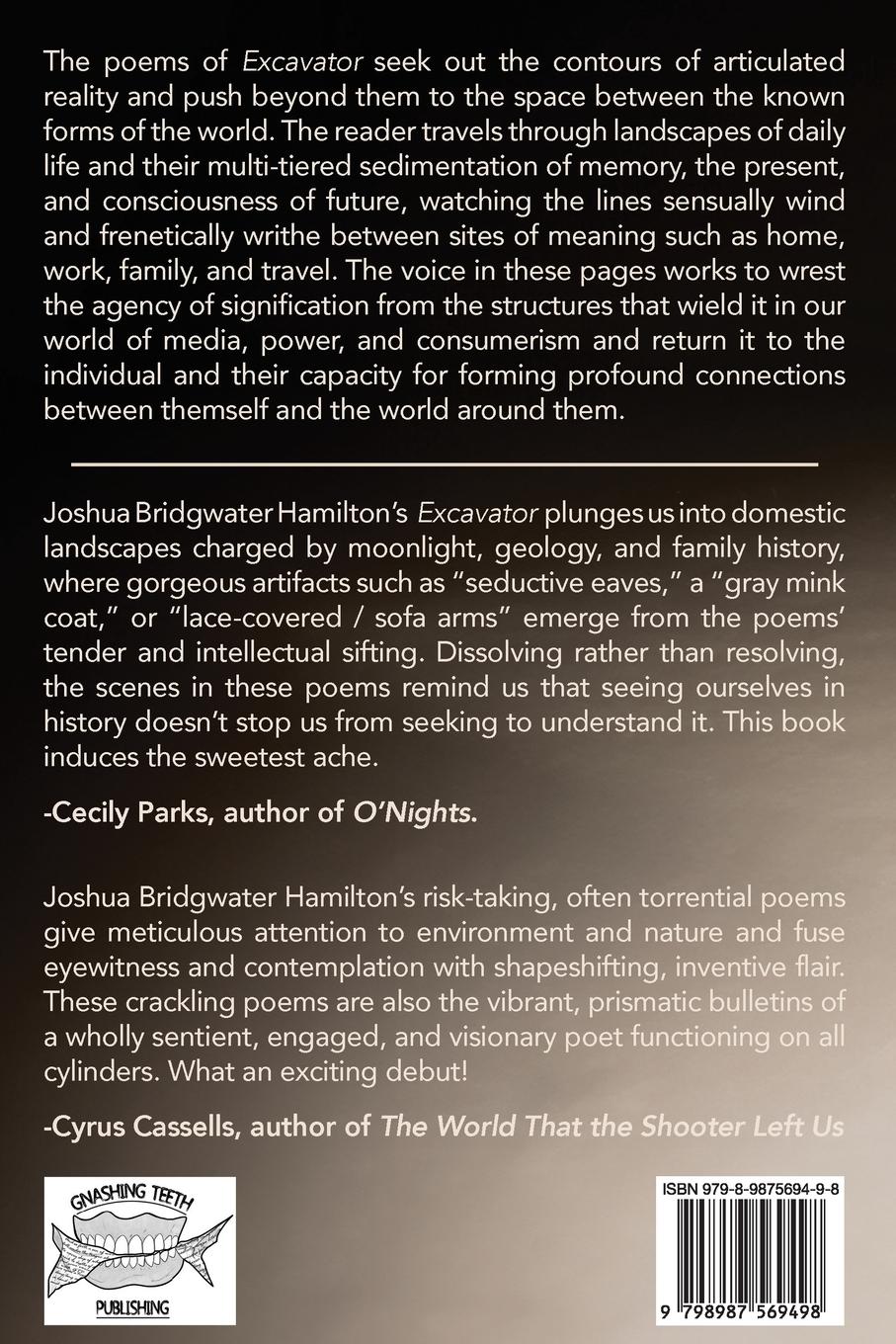 Rückseitencover Excavator