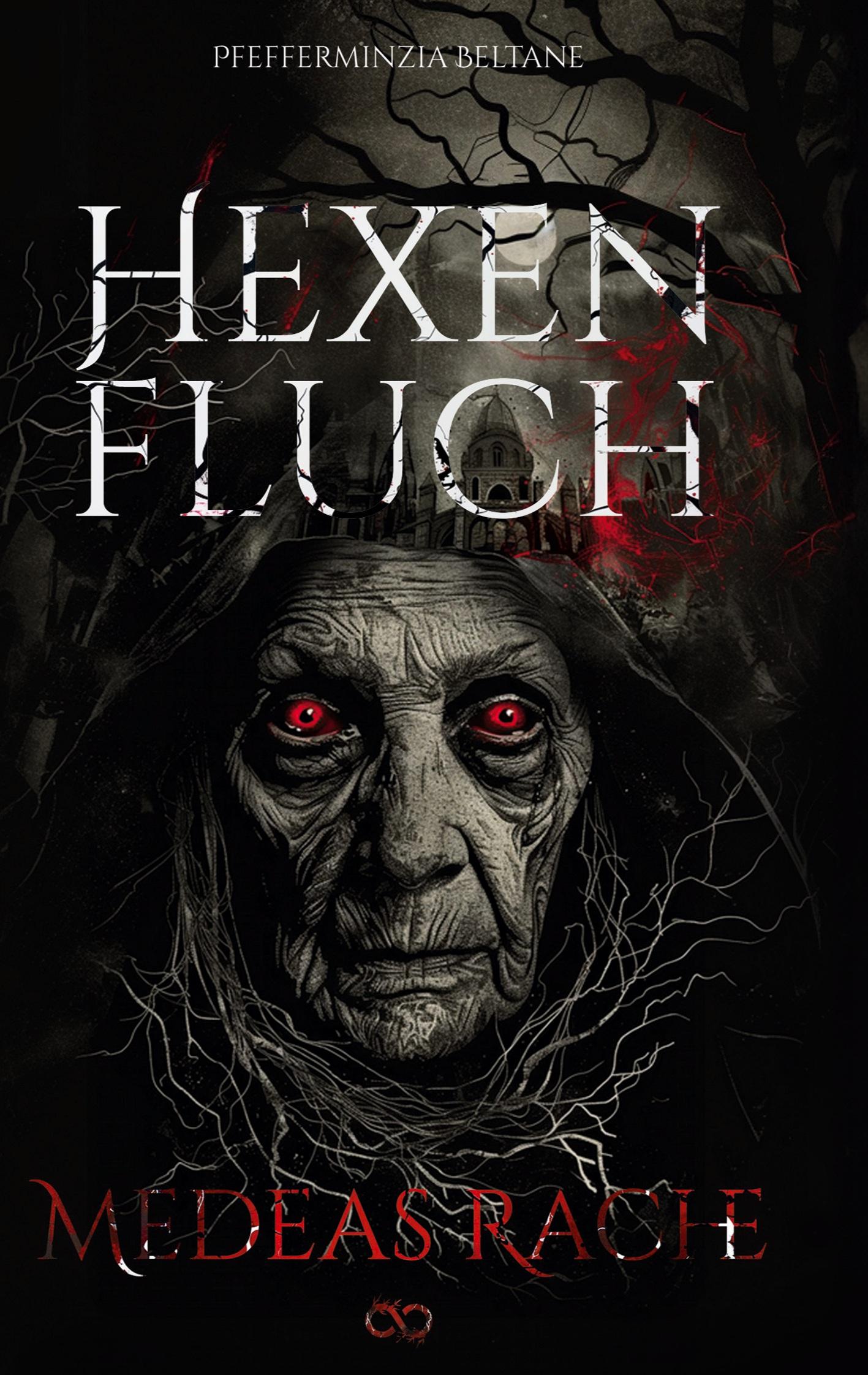 Vorderes Coverbild Hexenfluch