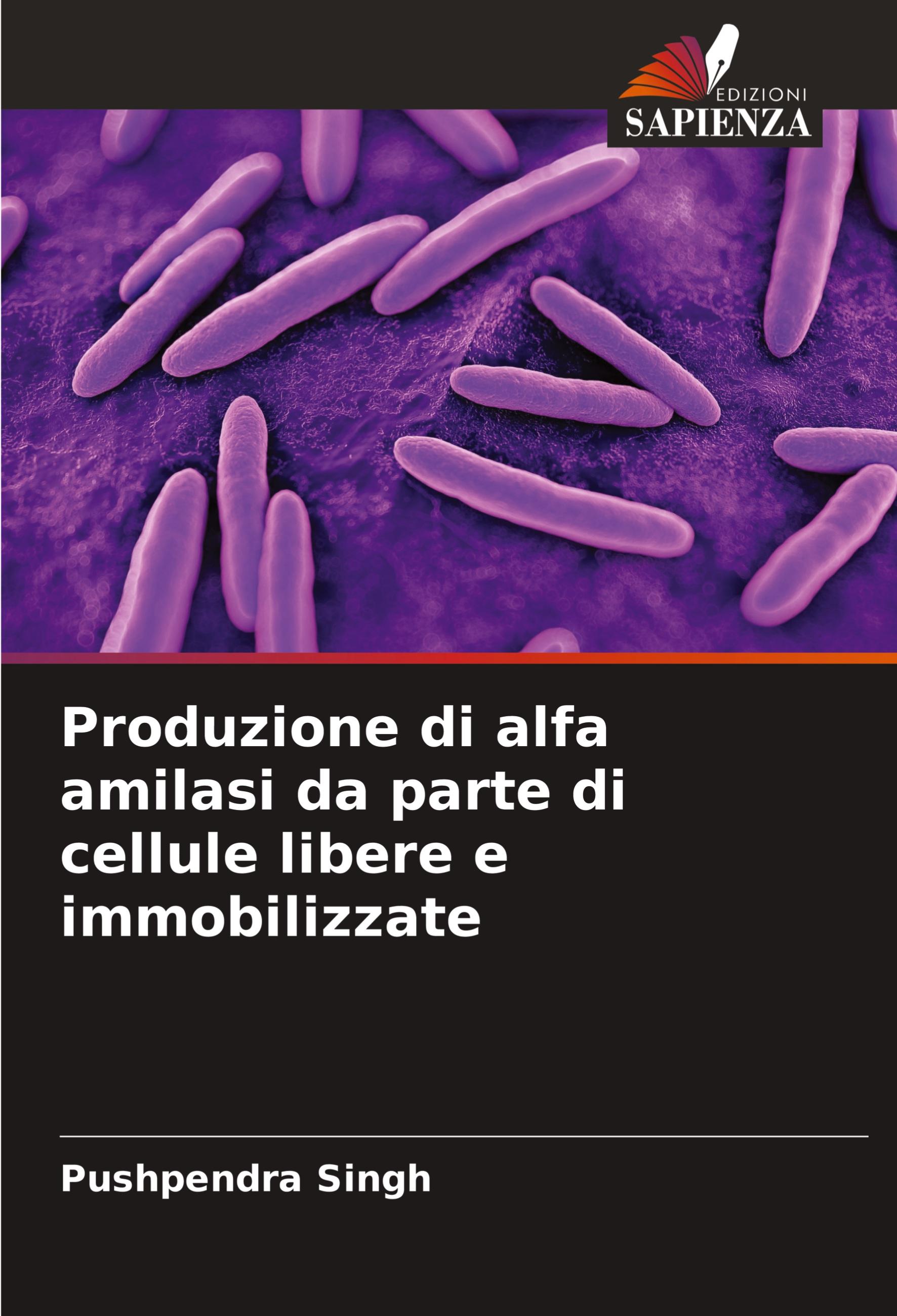 Vorderes Coverbild Produzione di alfa amilasi da parte di cellule libere e immobilizzate